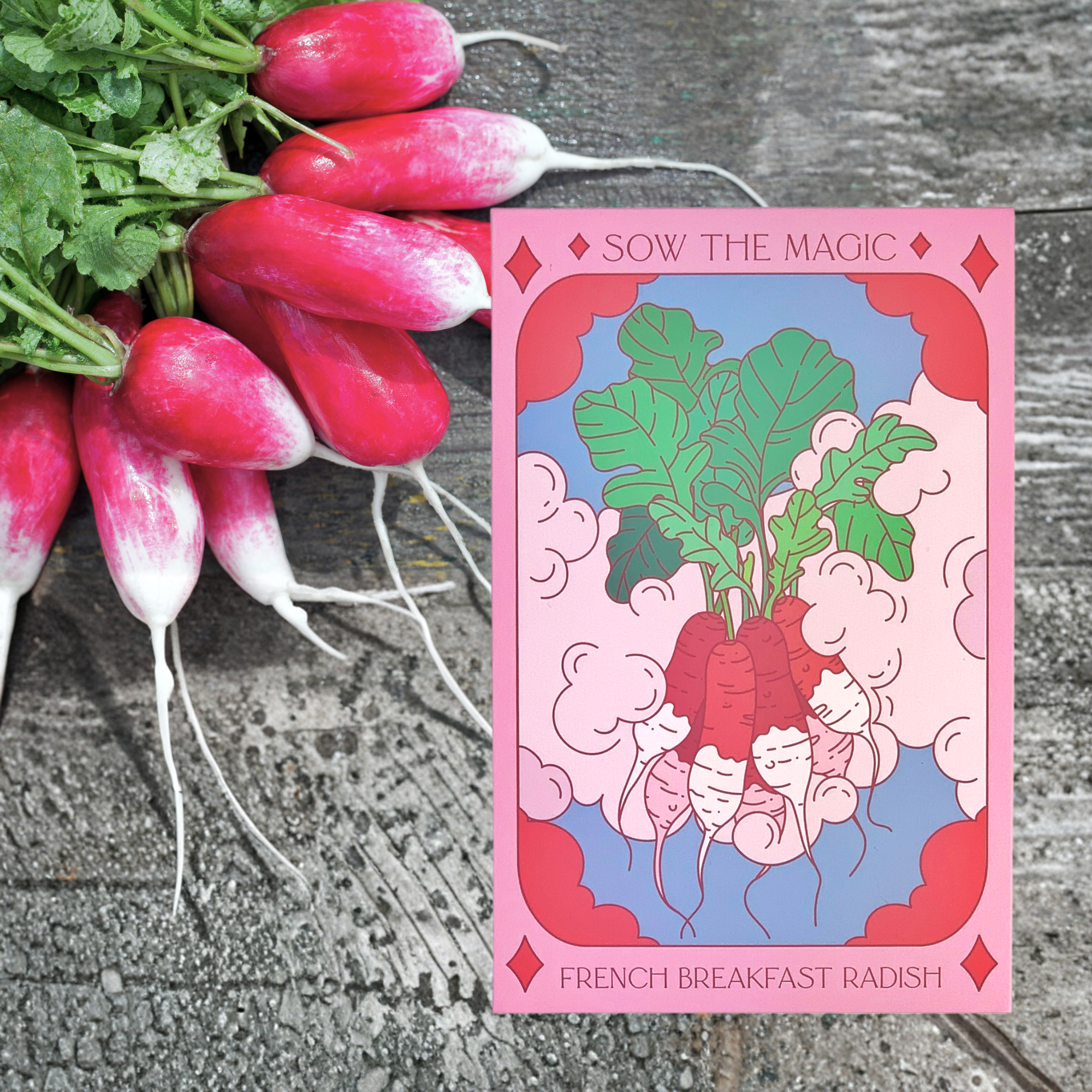French Breakfast Radish tarot seed packet with bright pink and white radishes on rustic wood background