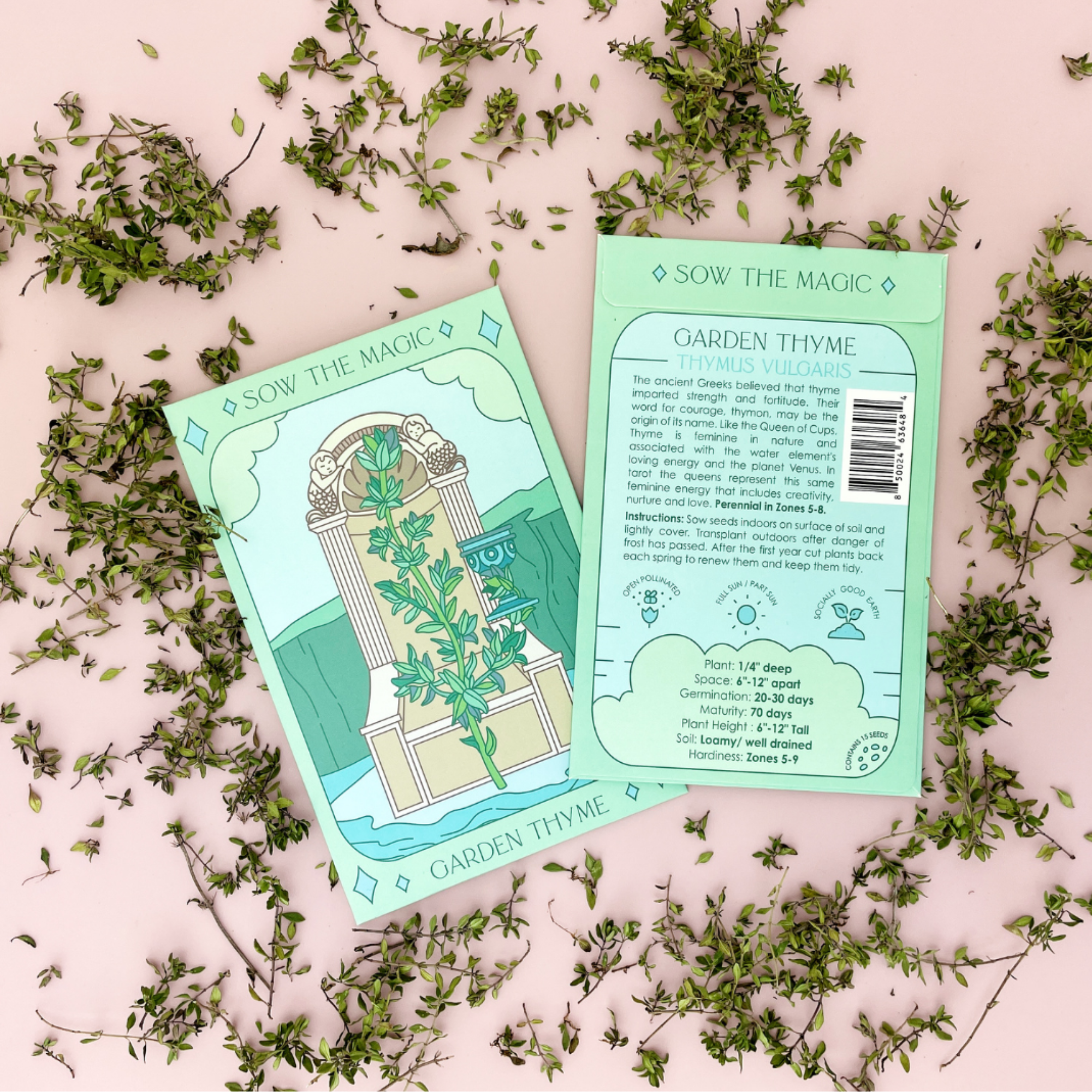 Front and back of Garden Thyme tarot seed packet with growing instructions and artwork