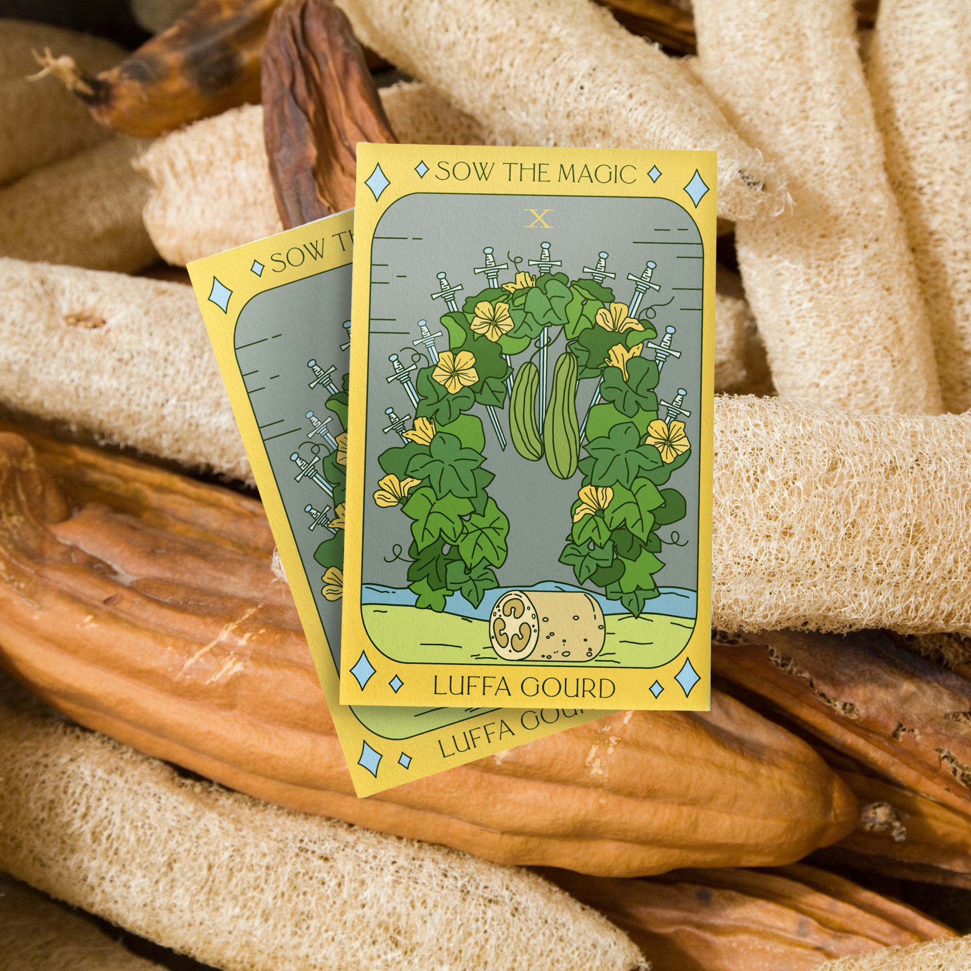 Luffa Gourd tarot seed packet resting on natural dried loofah sponges with yellow flowers illustrated