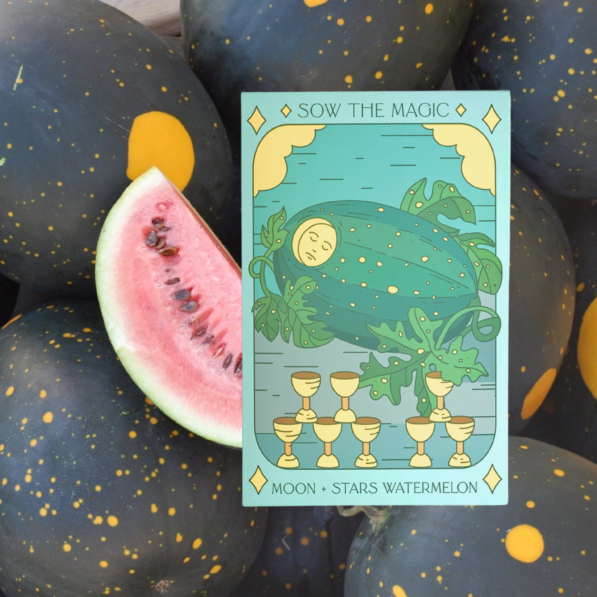 Moon and Stars Watermelon tarot seed packet with dark speckled melons and slice showing pink interior