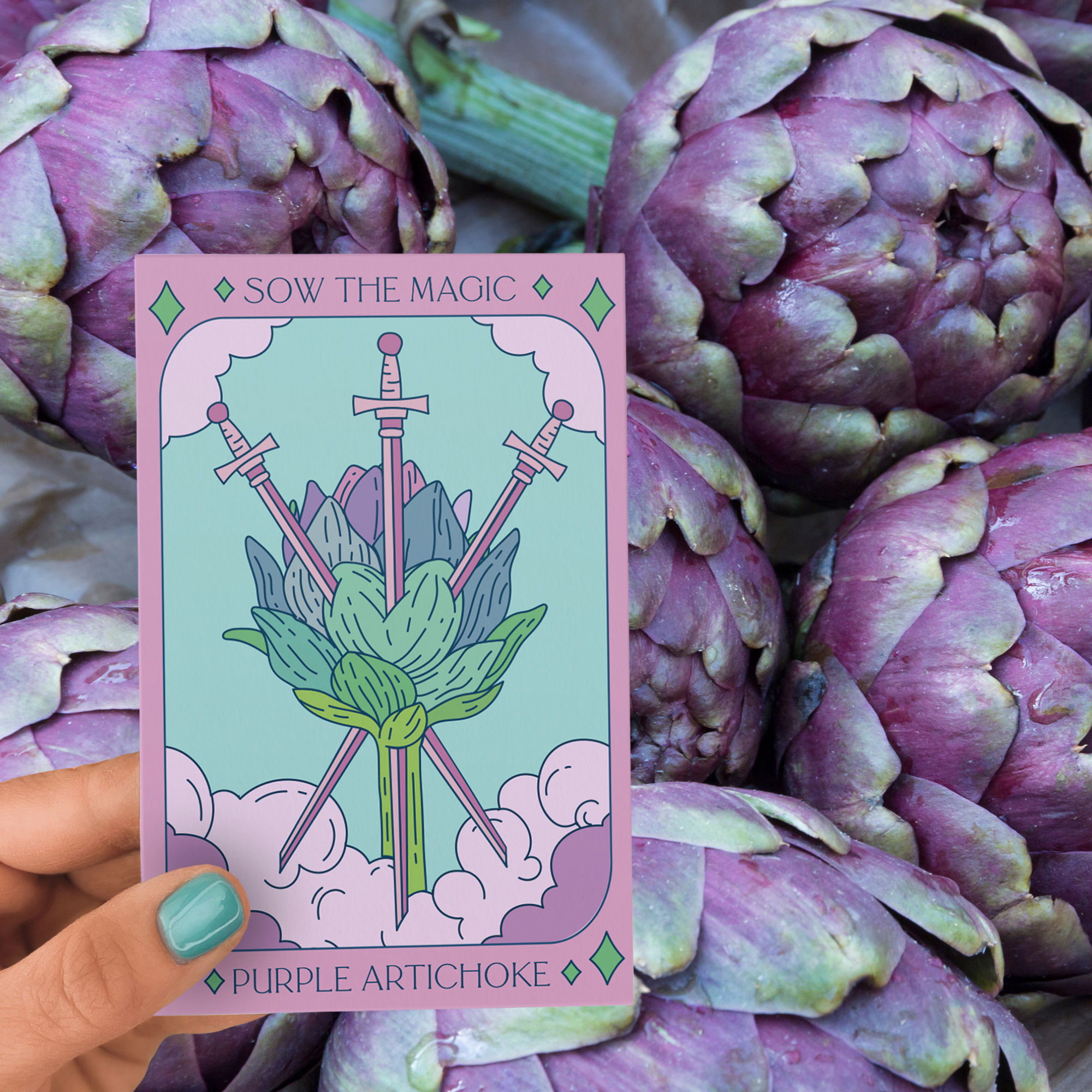 Purple Artichoke tarot seed packet held above fresh violet artichokes with green tips
