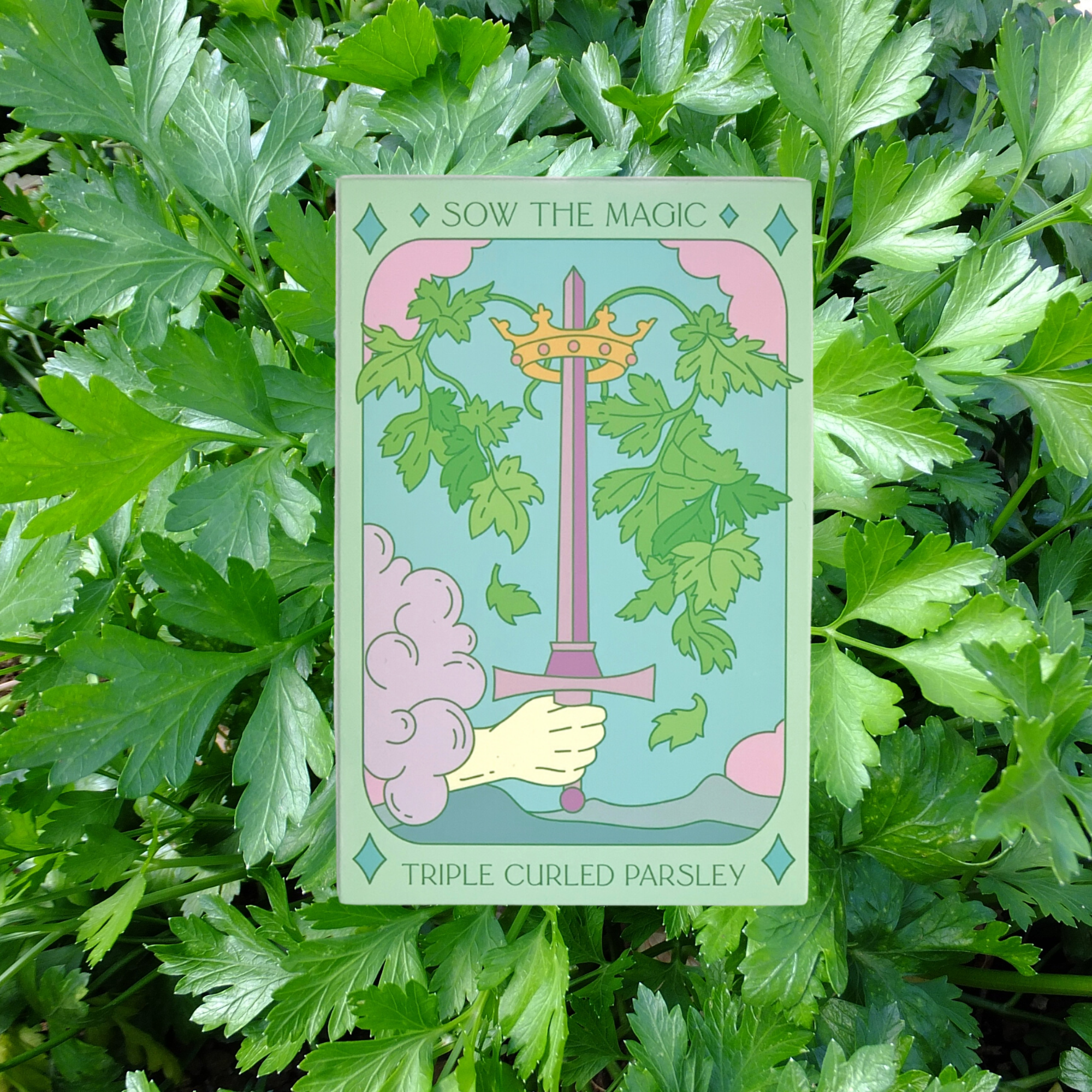 Triple Curled Parsley tarot seed packet by Sow the Magic displayed among fresh parsley leaves