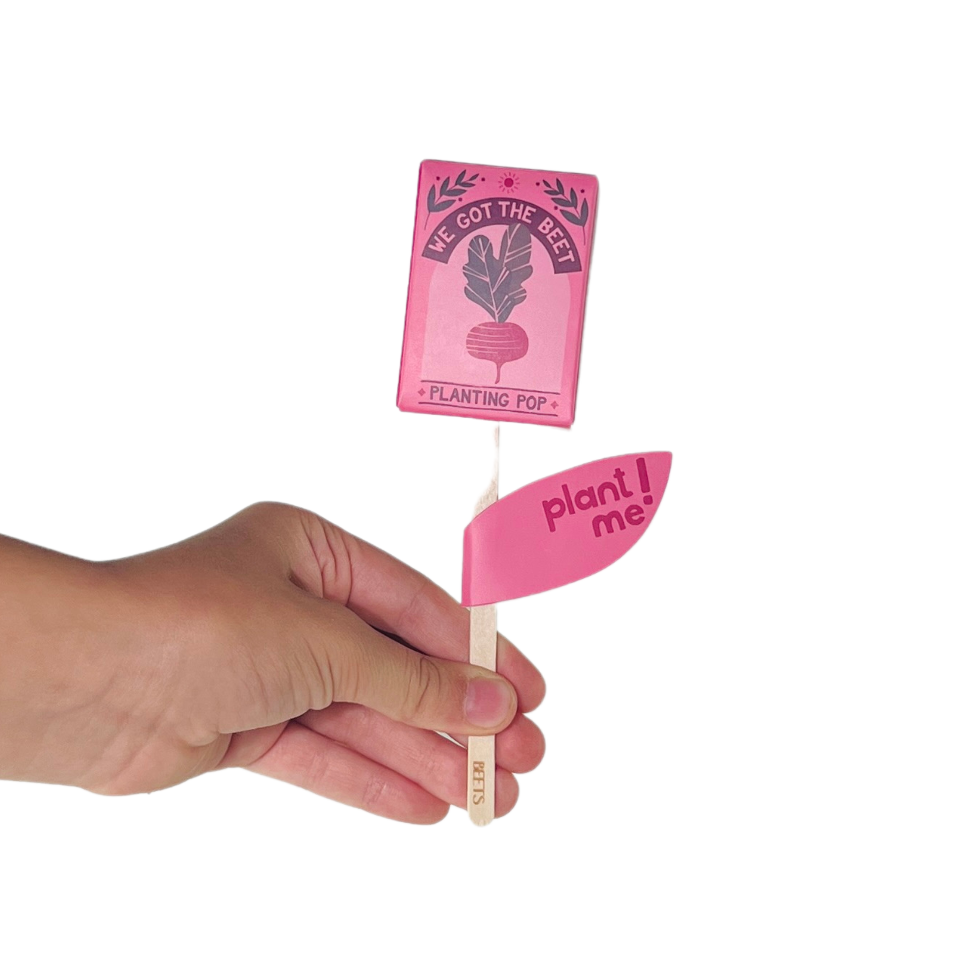 Hand holding pink We Got The Beet planting pop with eco stick and plant me tag