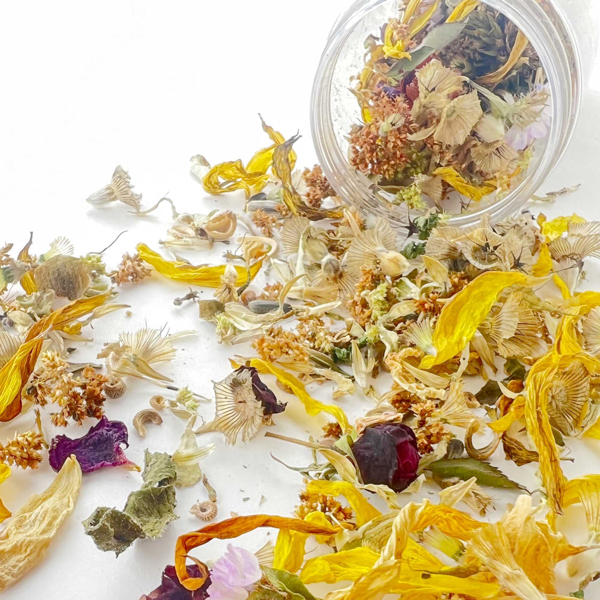 wildflower confetti seed paper Wildflower Garden Confetti Sprinkles - Blooming Celebrations