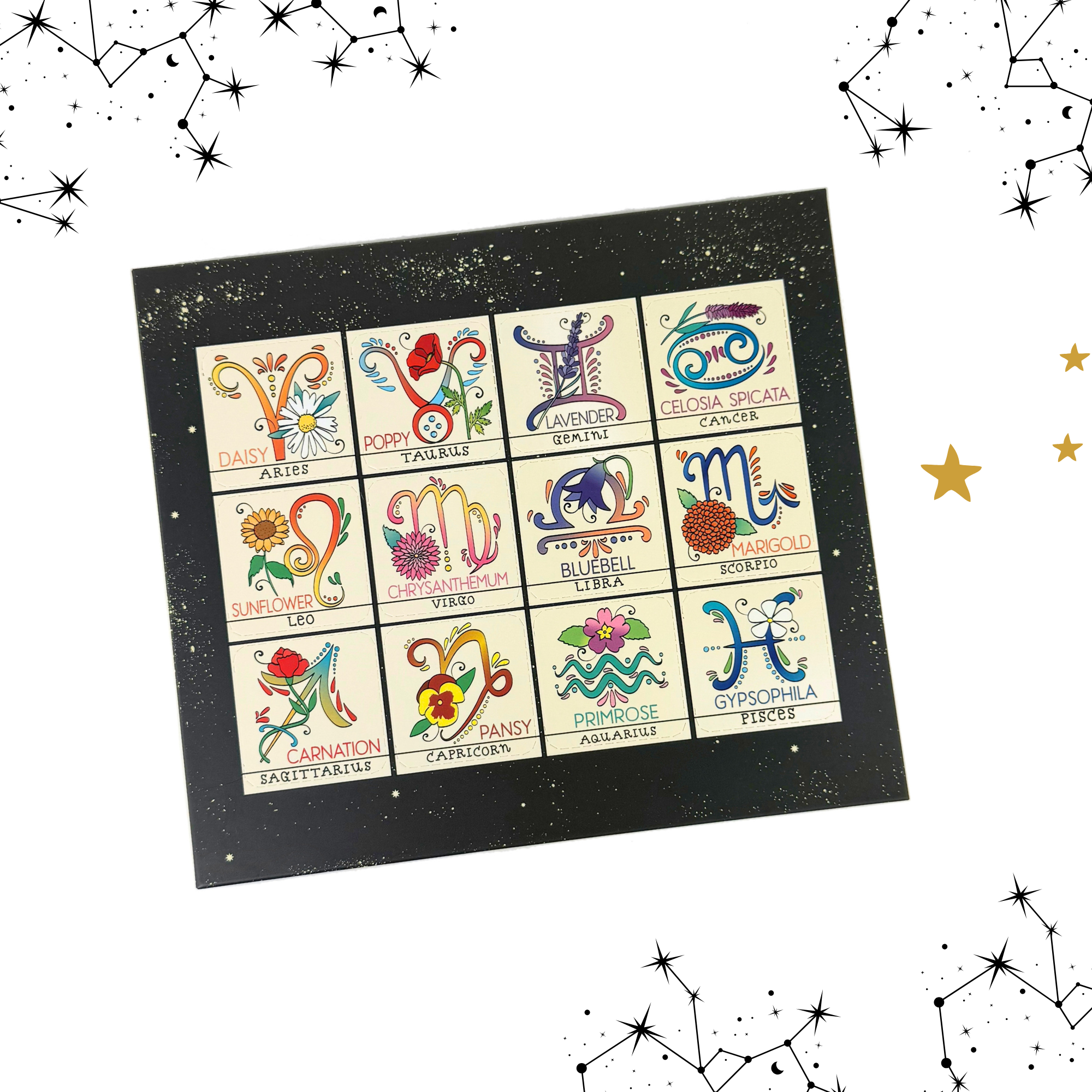 Zodiac Flower Seed Ball box with star and constellation backdrop featuring all twelve zodiac blooms