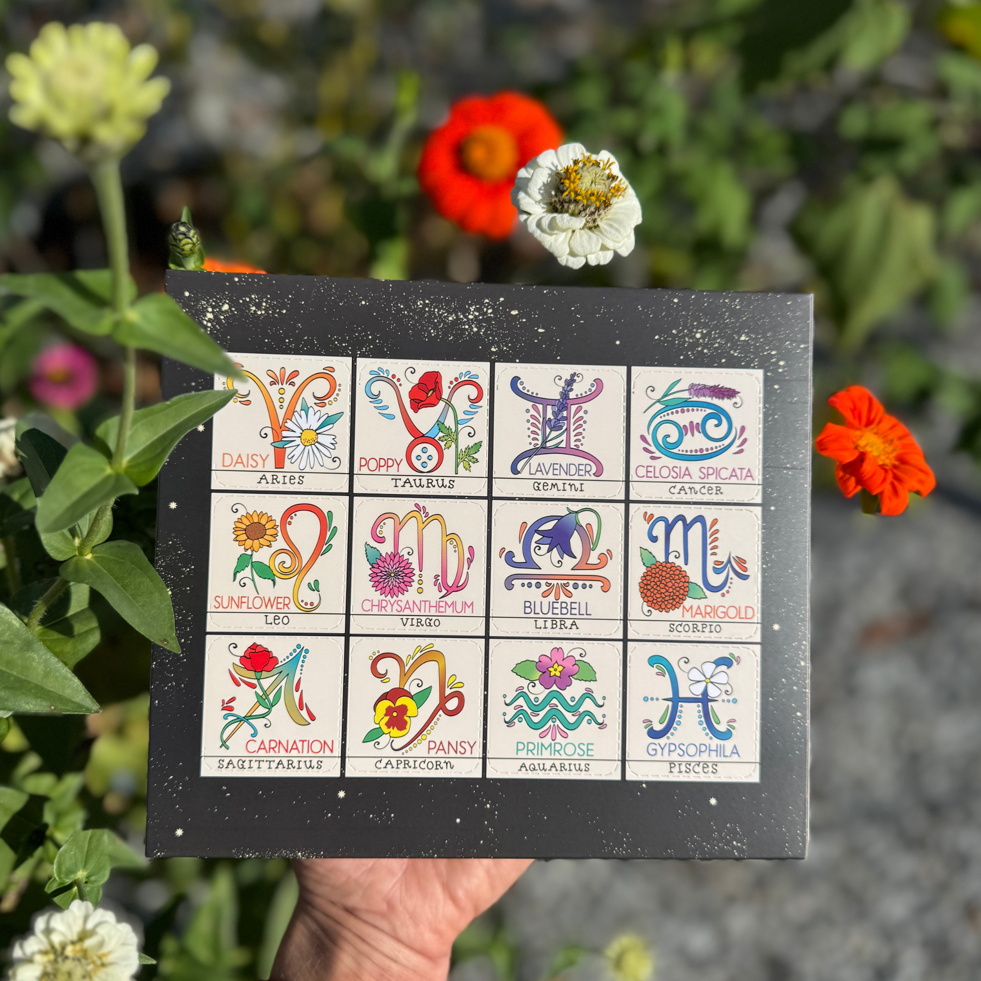 Hand holding Zodiac Flower Seed Ball box in a flower garden with colorful blooms