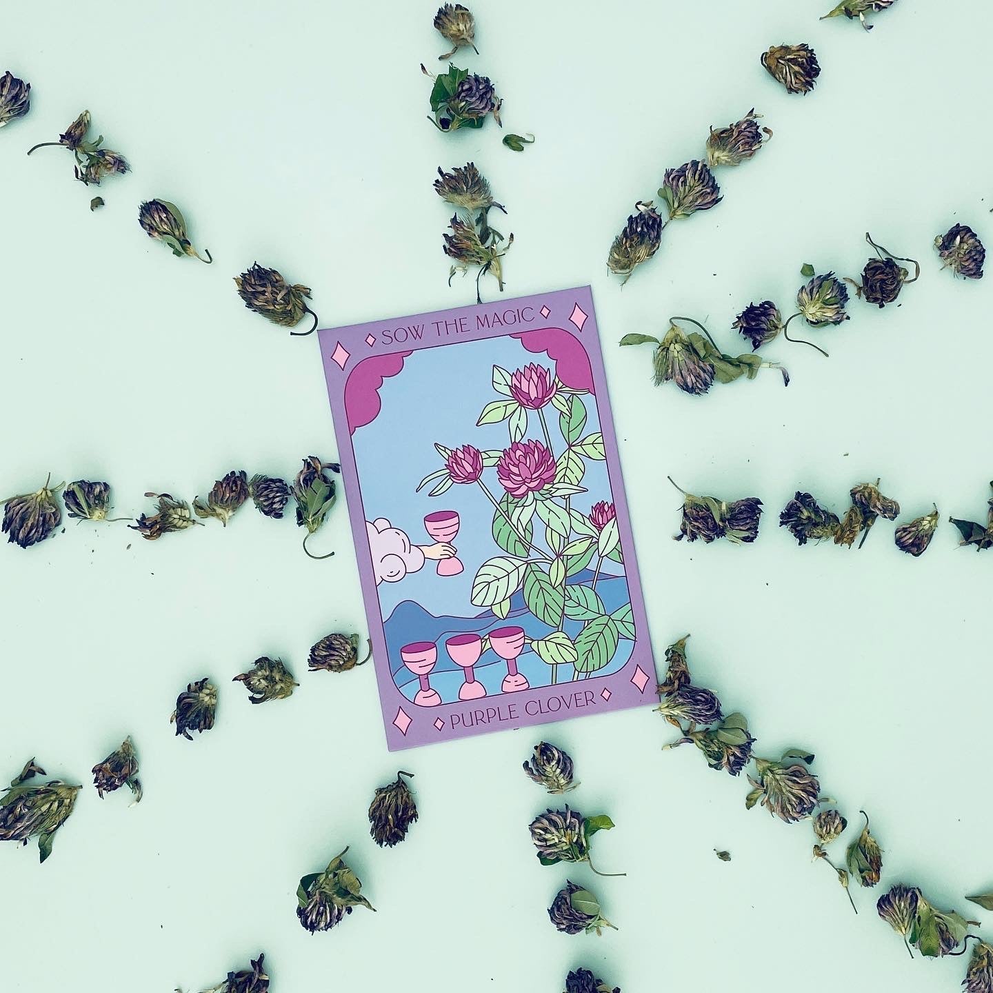 Purple Clover Tarot Seed Packet - Thumbnail 3