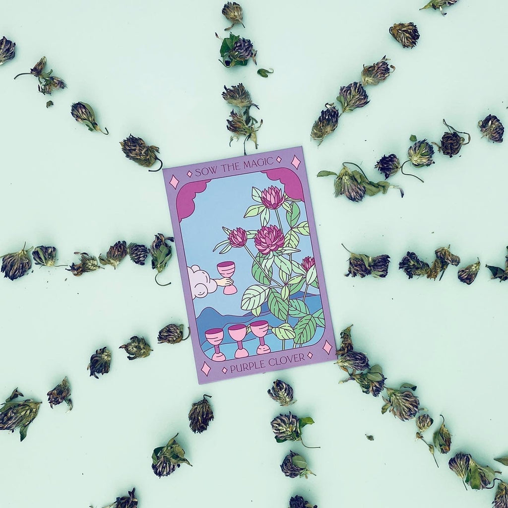 Purple Clover Tarot Seed Packet