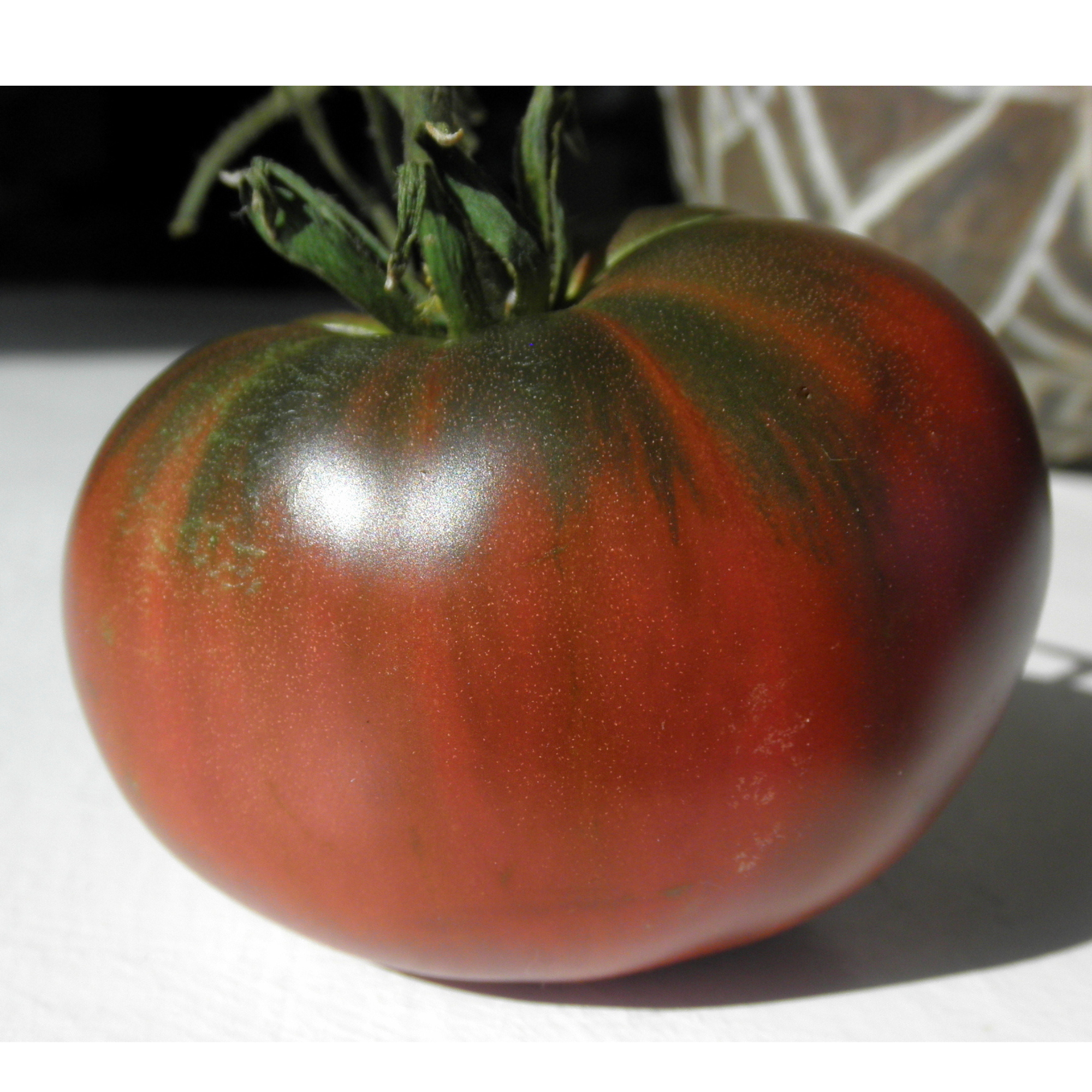 Paul Robeson Tomato Tarot Seed Packet