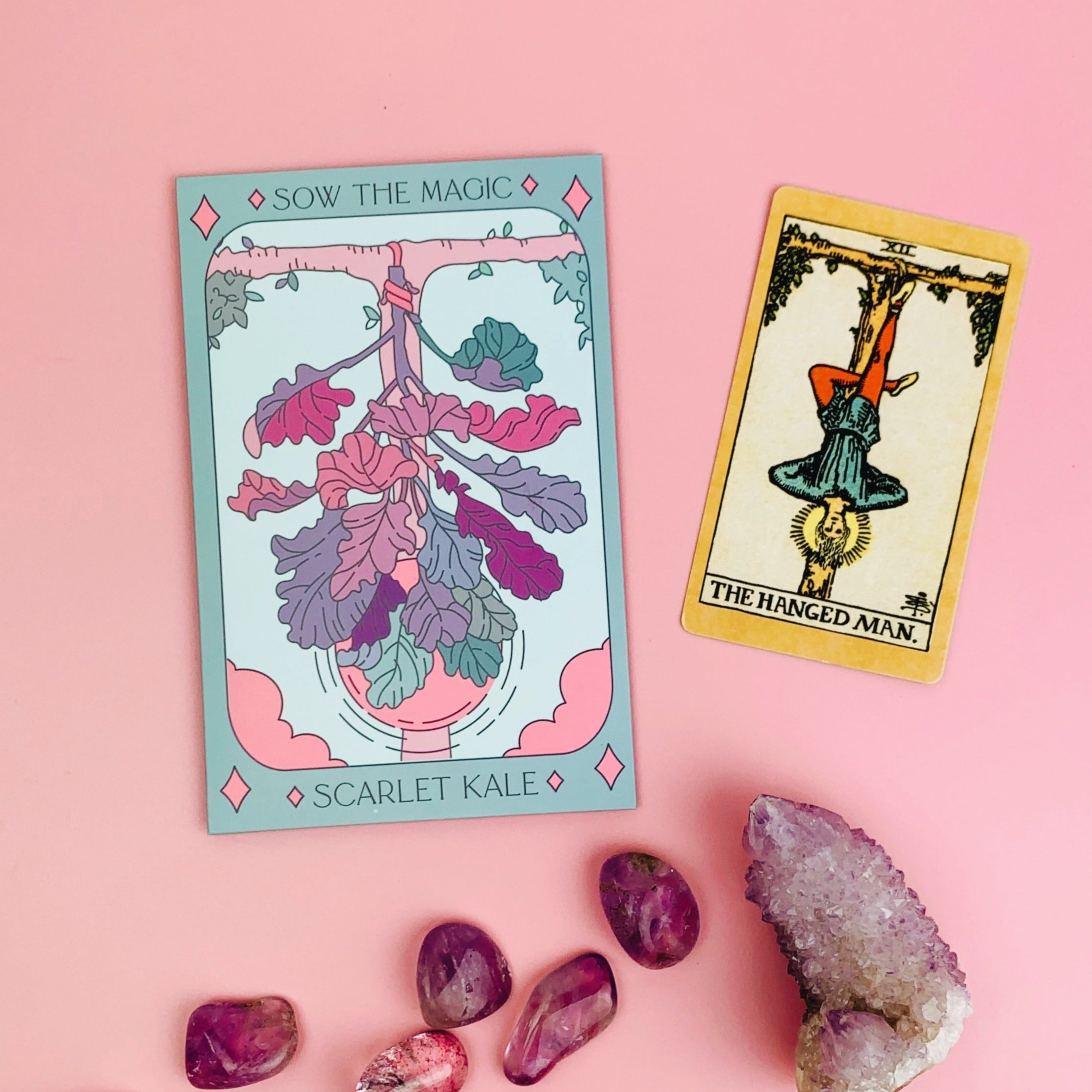 Scarlet Kale Tarot Seed Packet - Thumbnail 2