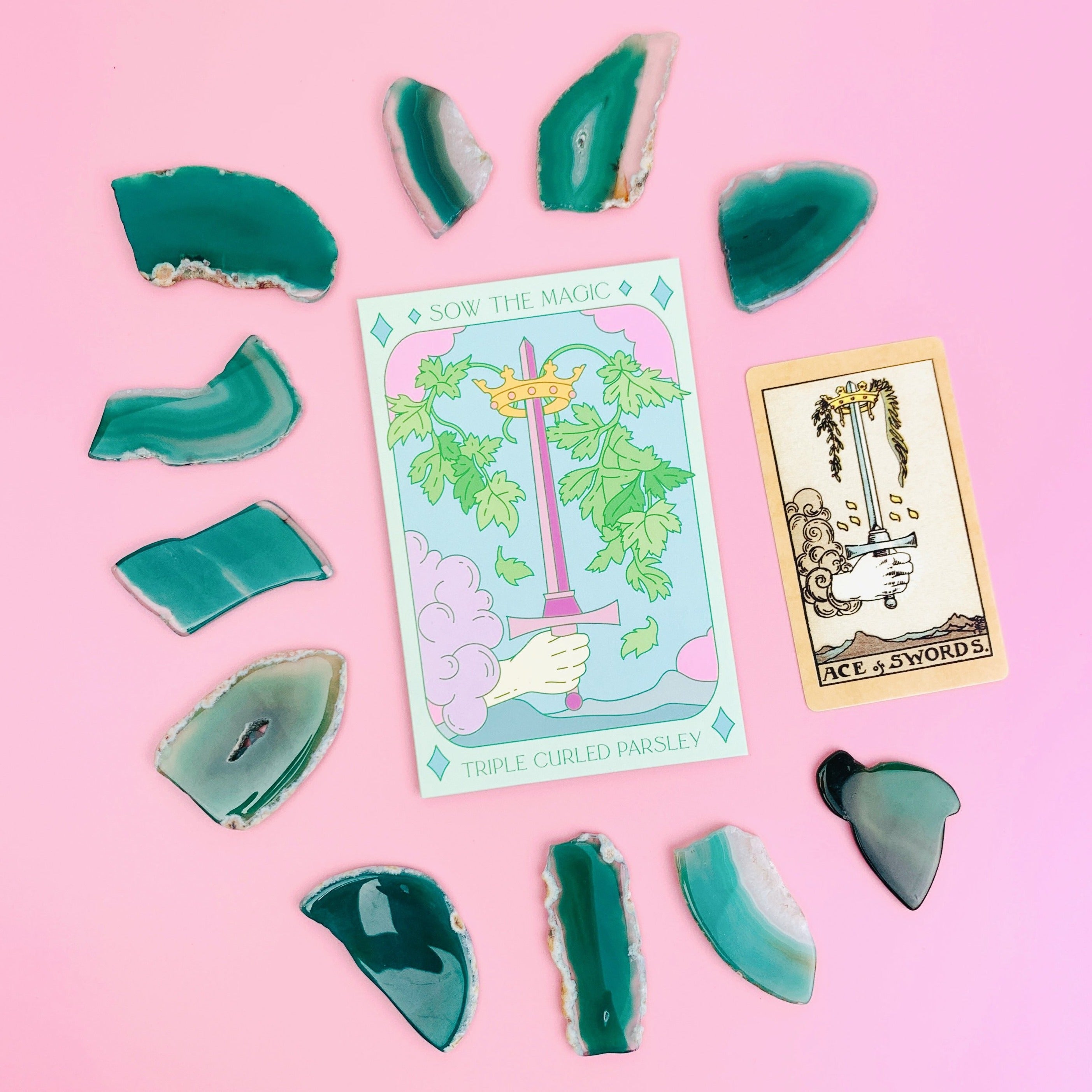 Triple Curled Parsley Tarot Seed Packet