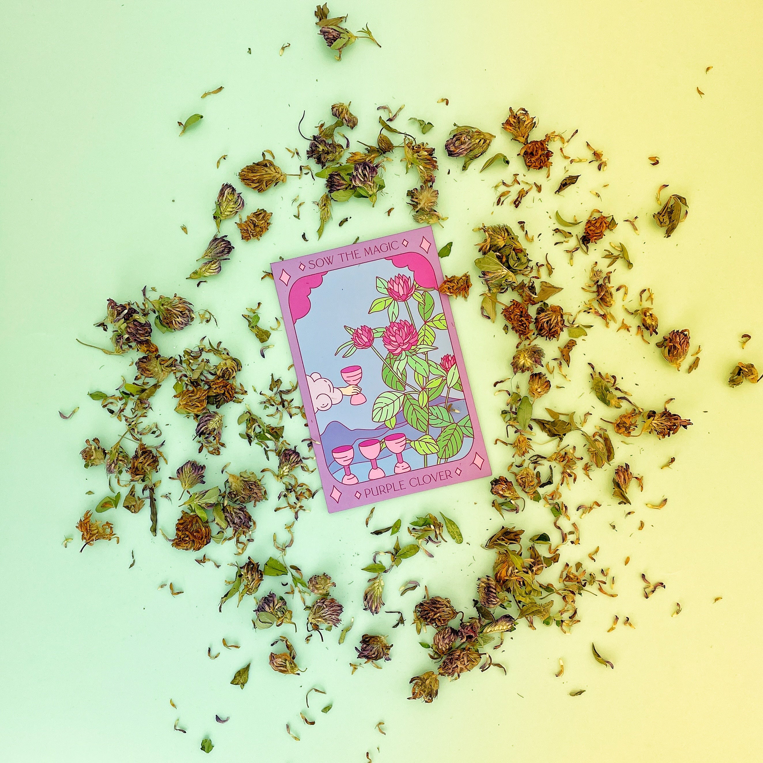 Purple Clover Tarot Seed Packet