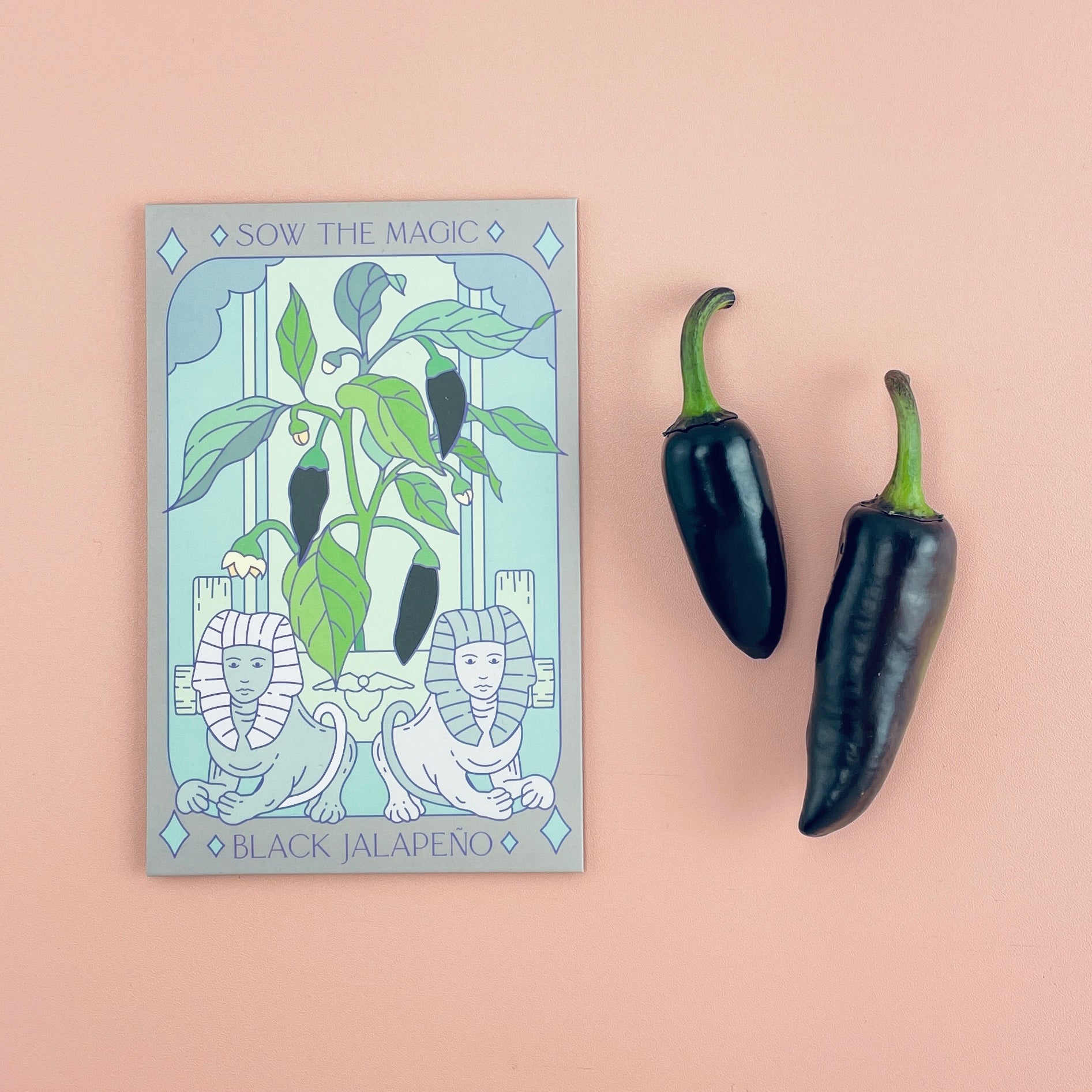 Black Hungarian Jalapeño Tarot Seed Packet - Thumbnail 2