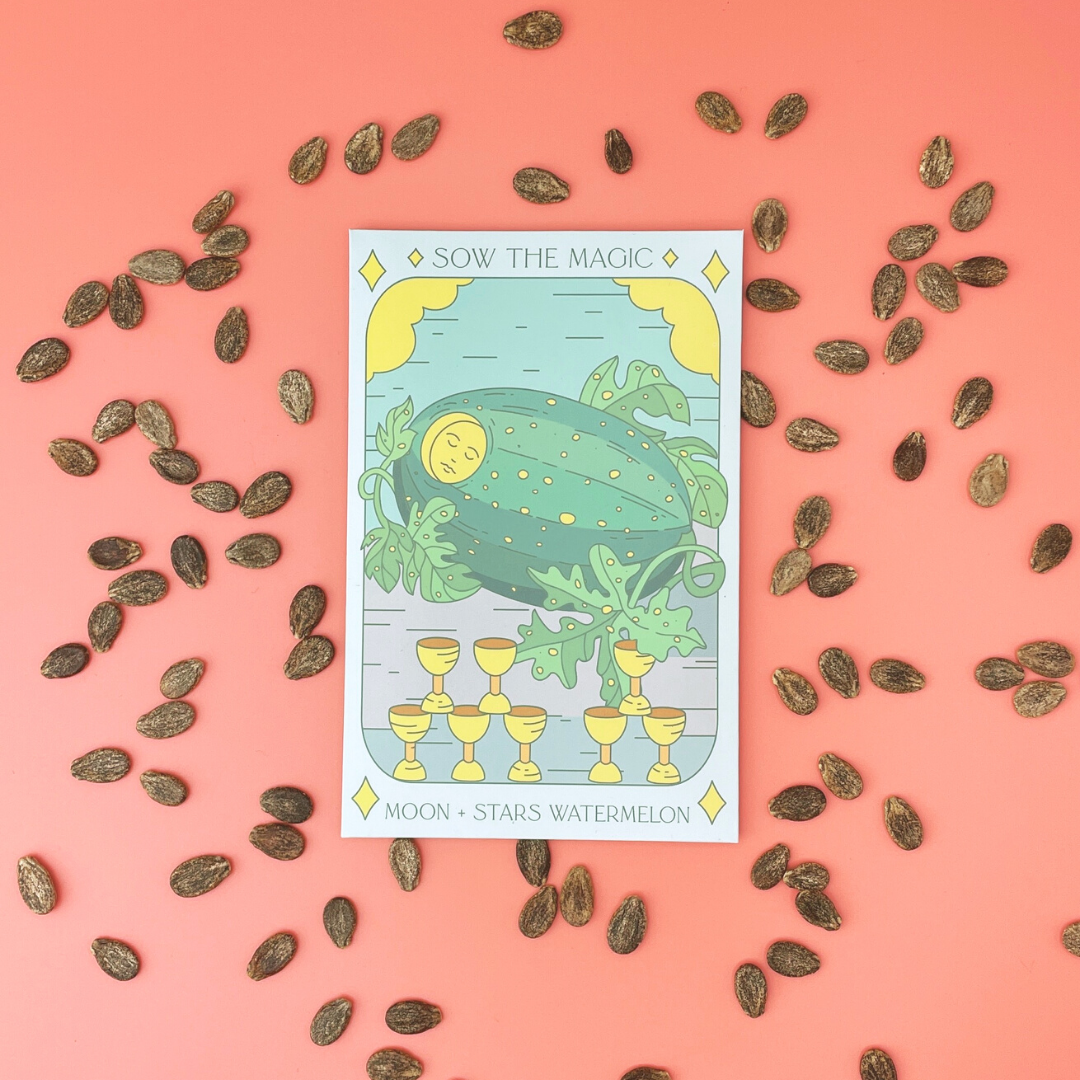 Moon and Stars Watermelon Tarot Seed Packet - Thumbnail 4