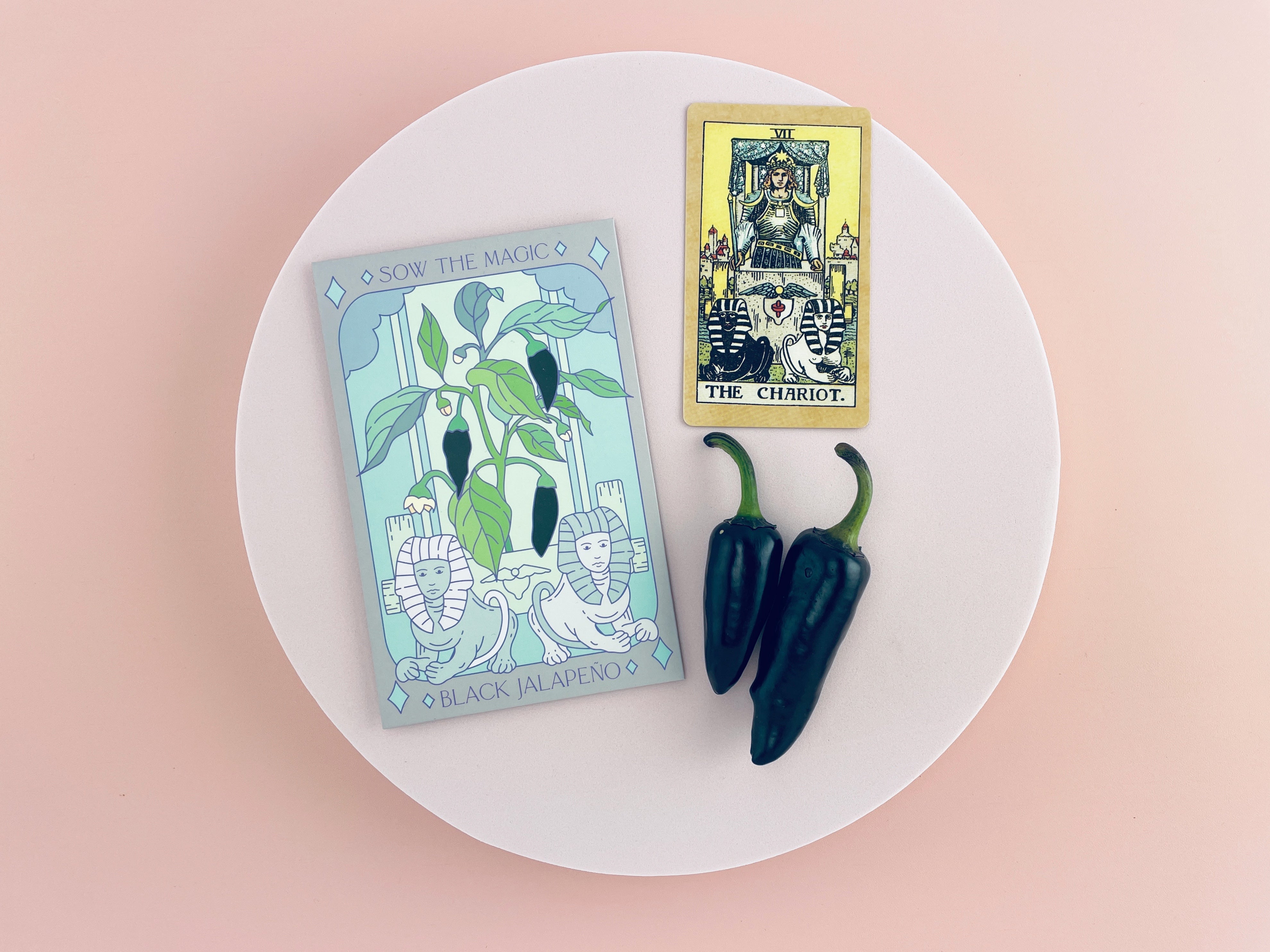 Black Hungarian Jalapeño Tarot Seed Packet