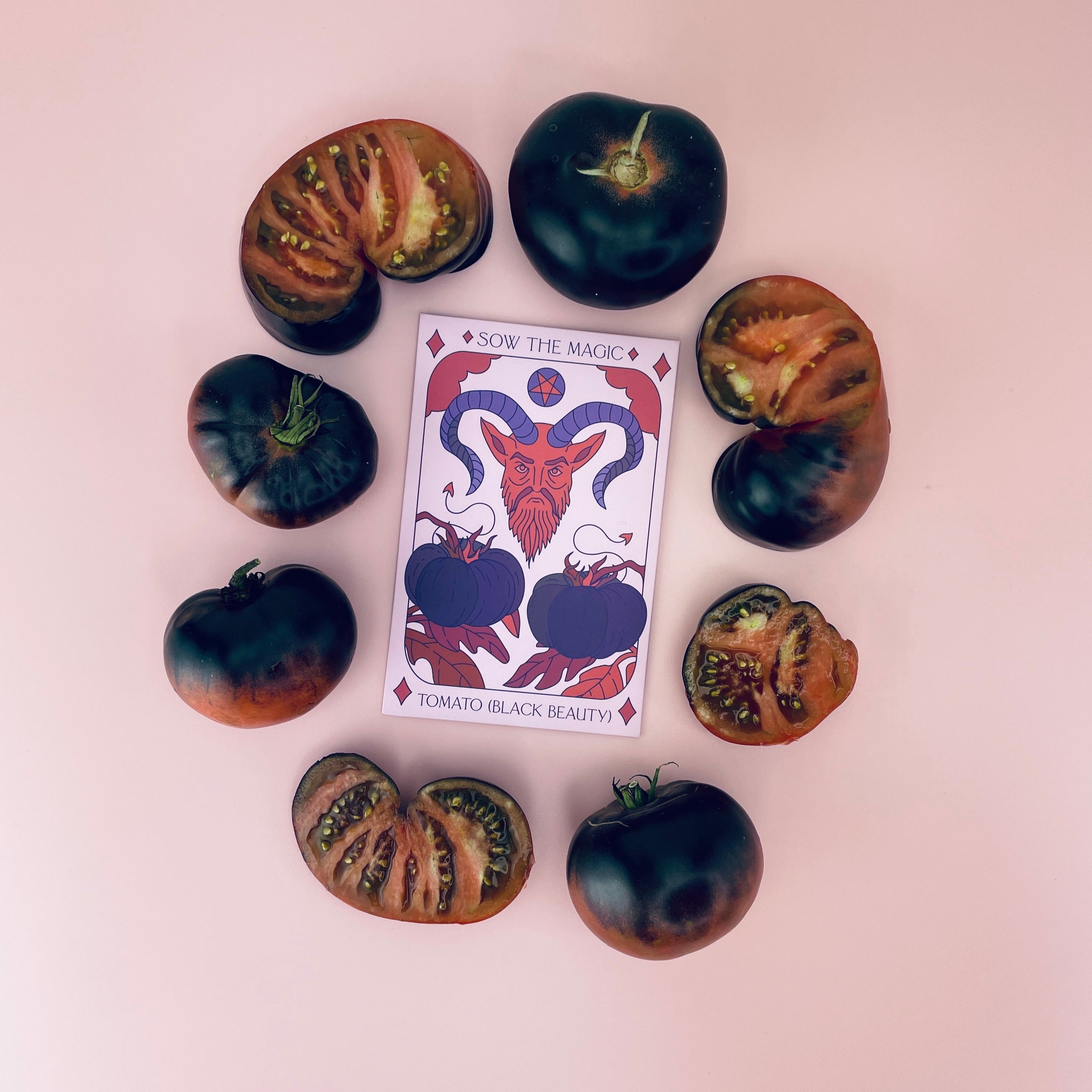 Black Beauty Tomato Tarot Seed Packet