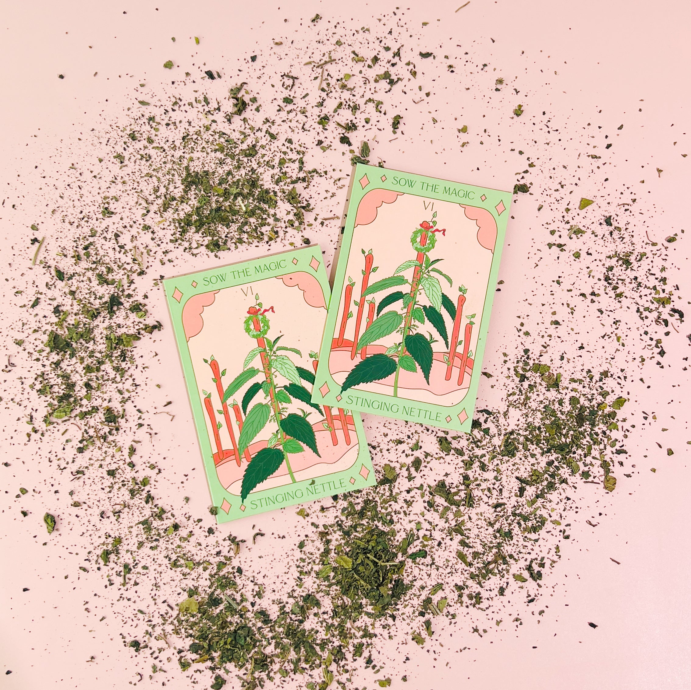 Stinging Nettle Tarot Seed Packet