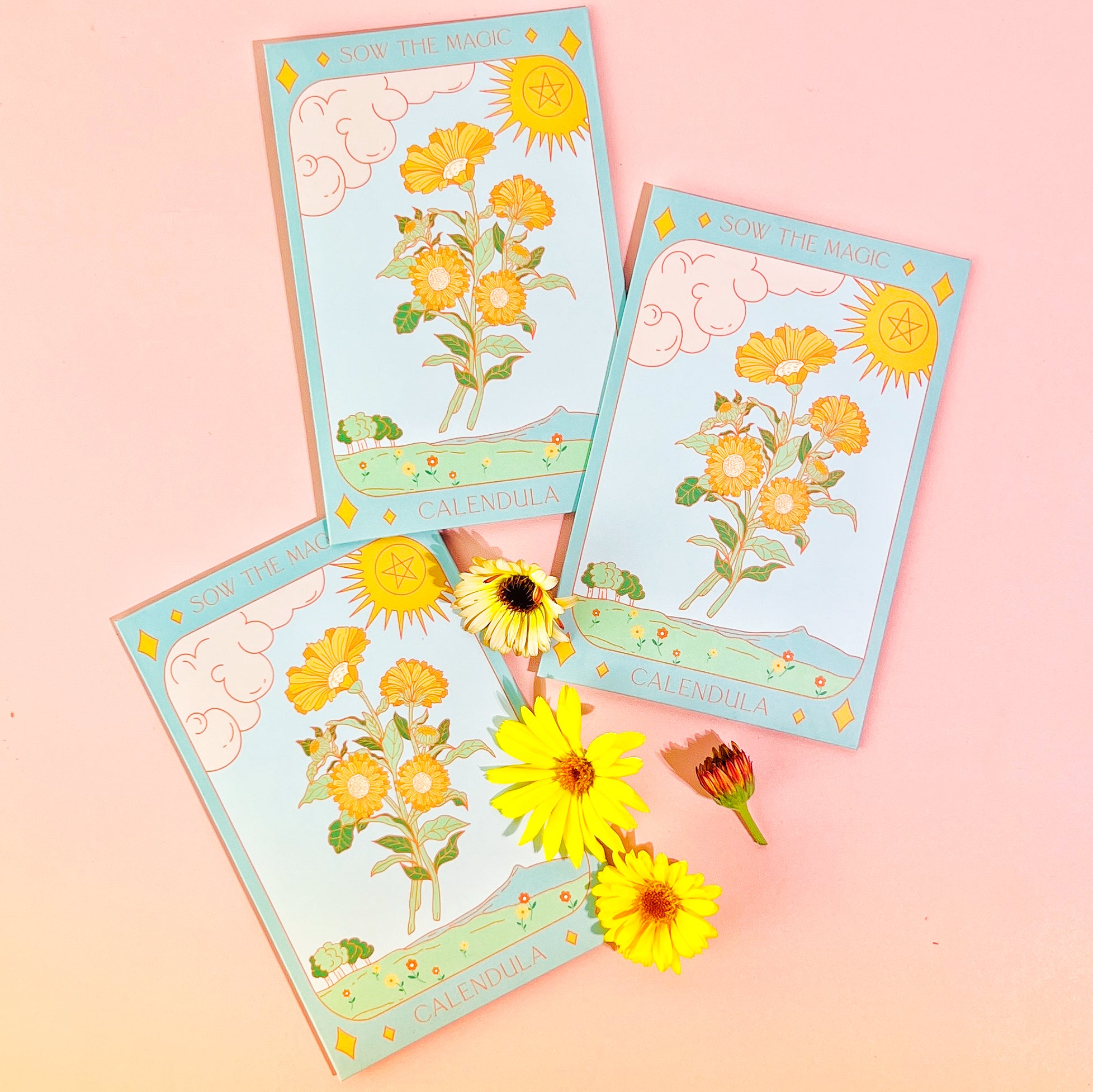 Calendula Tarot Seed Packet