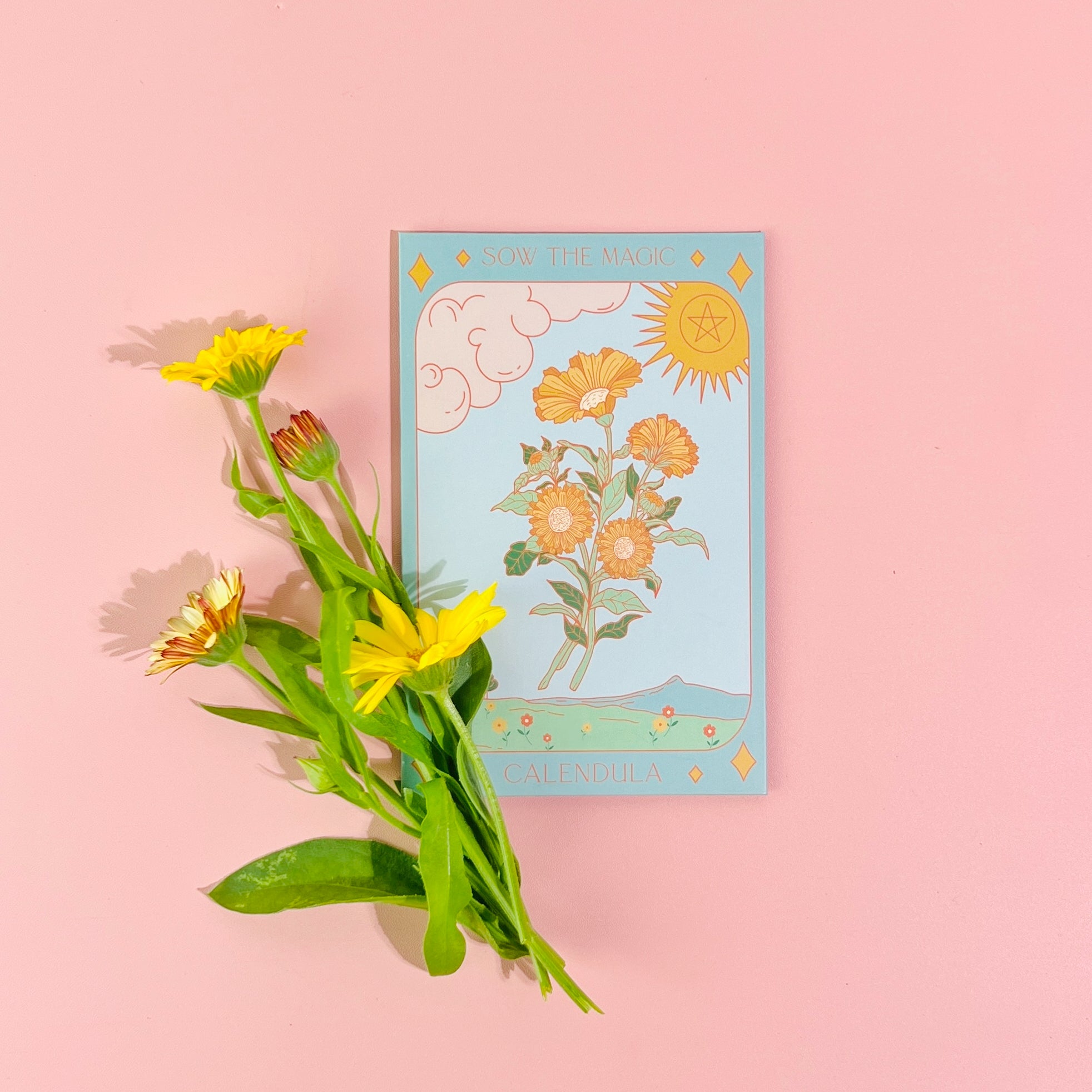 Calendula Tarot Seed Packet - Thumbnail 5