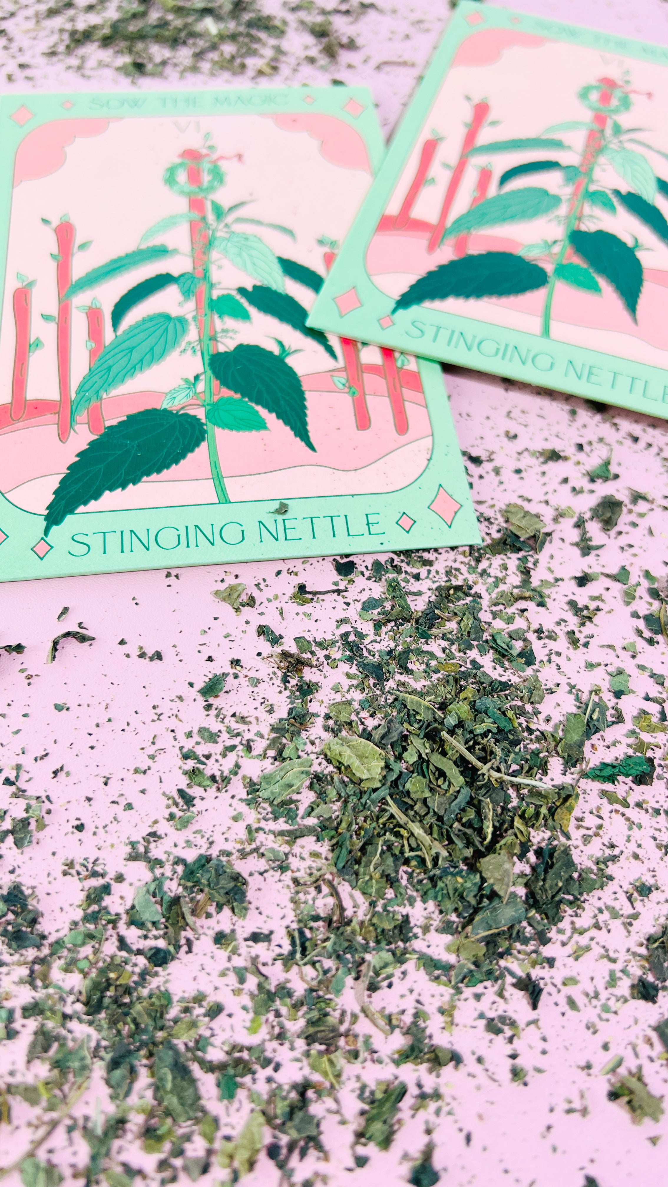 Stinging Nettle Tarot Seed Packet