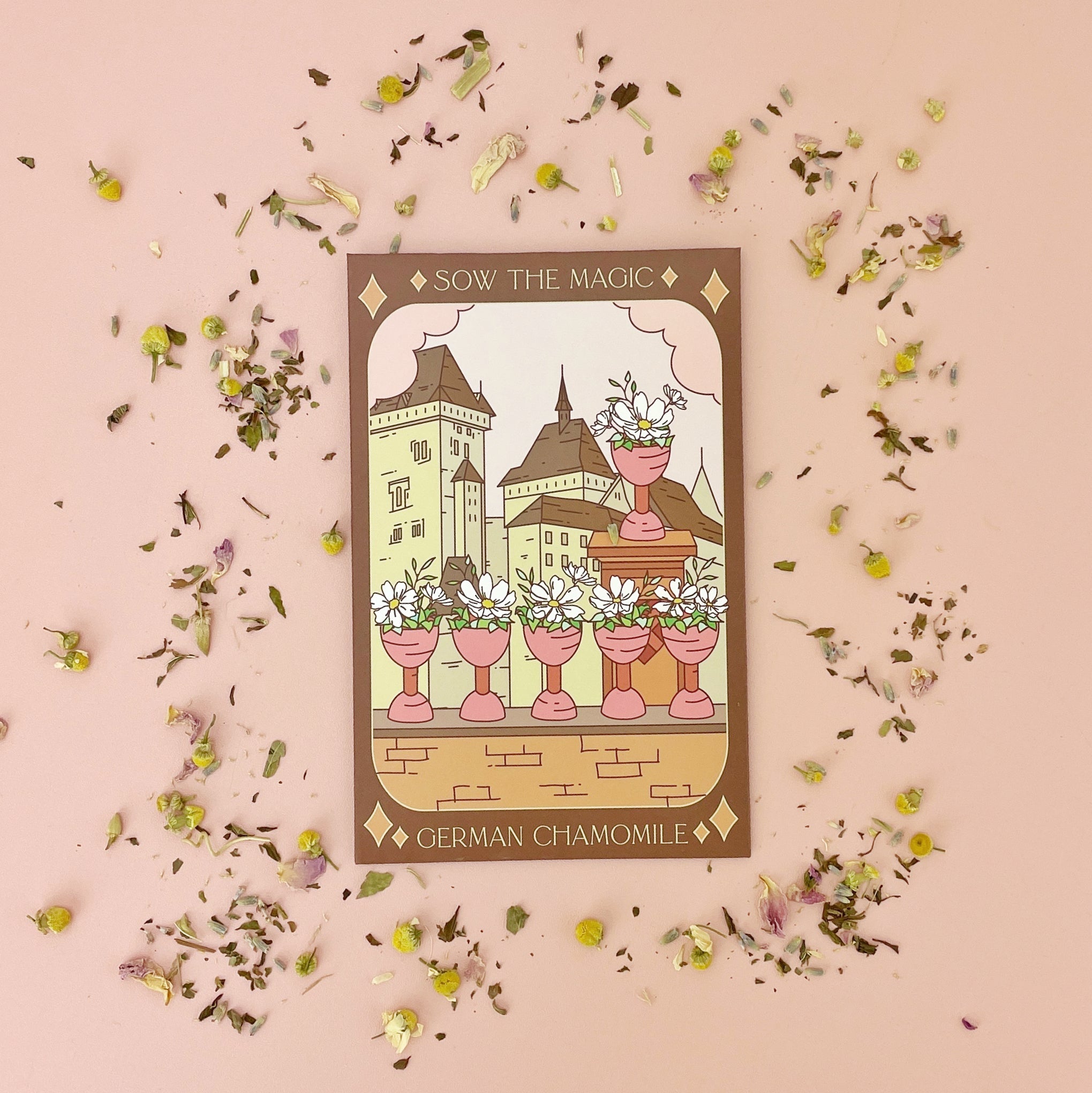 German Chamomile Tarot Seed Packet - Thumbnail 5