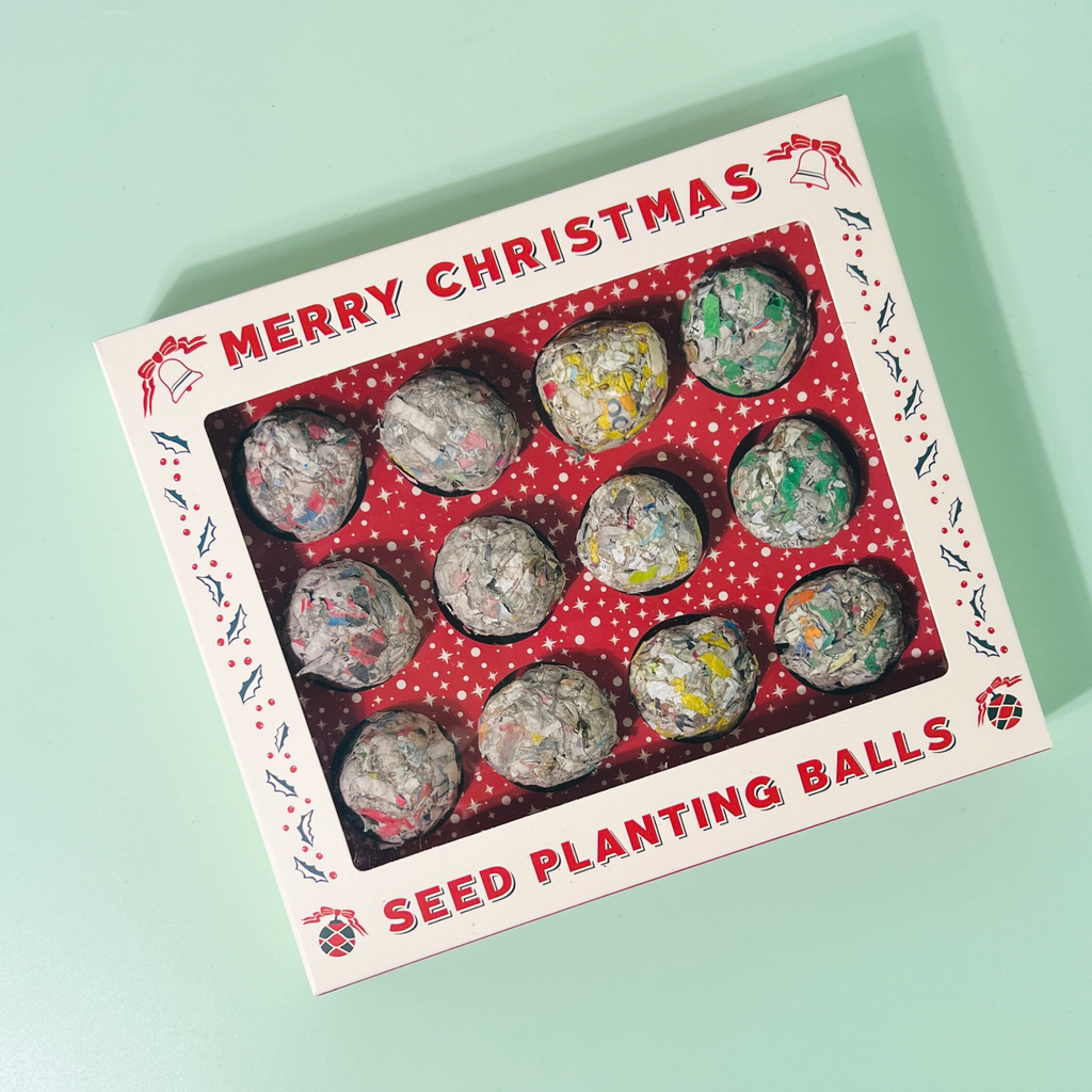 12 Days of Planting Christmas Seed Ball Set