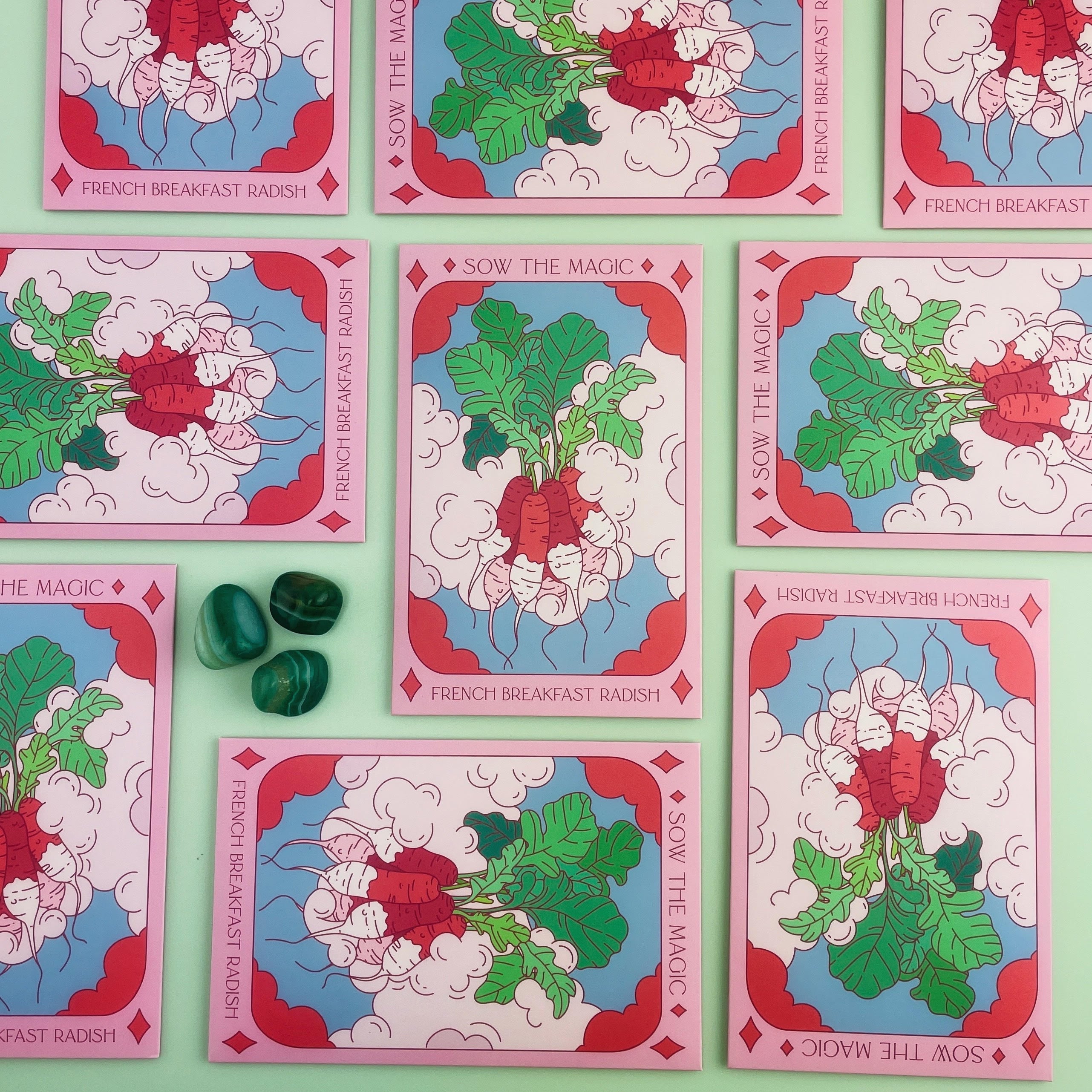French Breakfast Radish Tarot Seed Packet - Thumbnail 4