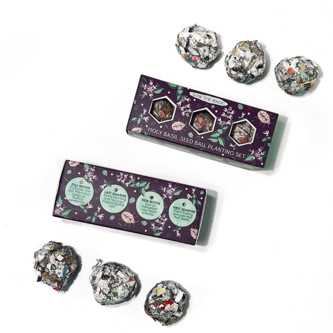 holy basil seeds for planting Protection (Holy Basil) Mini Seed Ball Gift Box Set