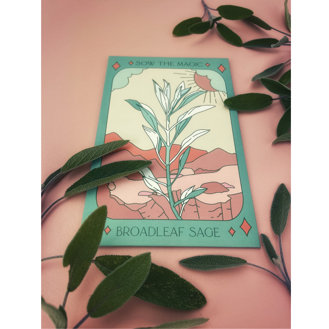 Broadleaf Sage Tarot Seed Packet