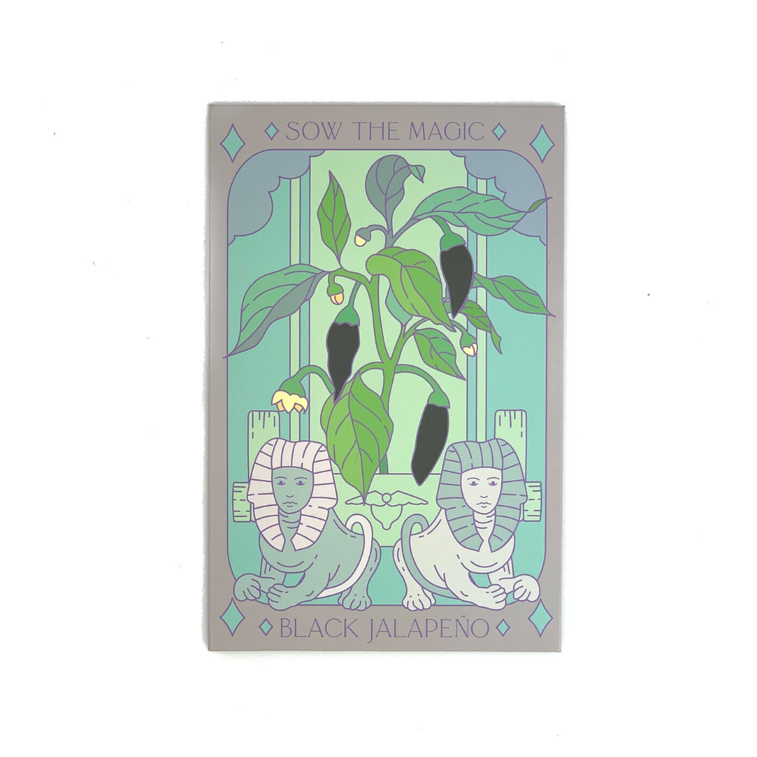 Black Hungarian Jalapeño Tarot Seed Packet