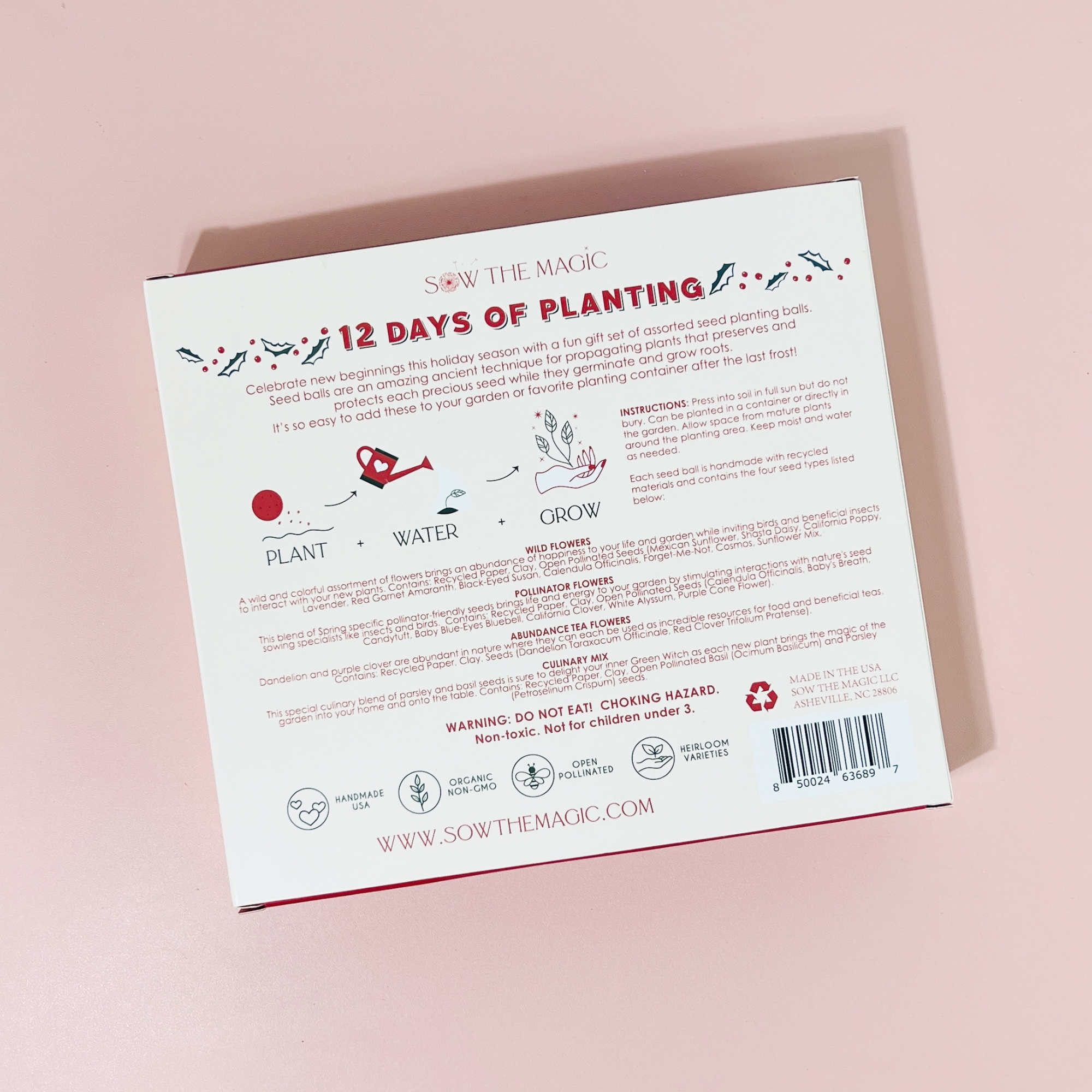 12 Days of Planting Christmas Seed Ball Set