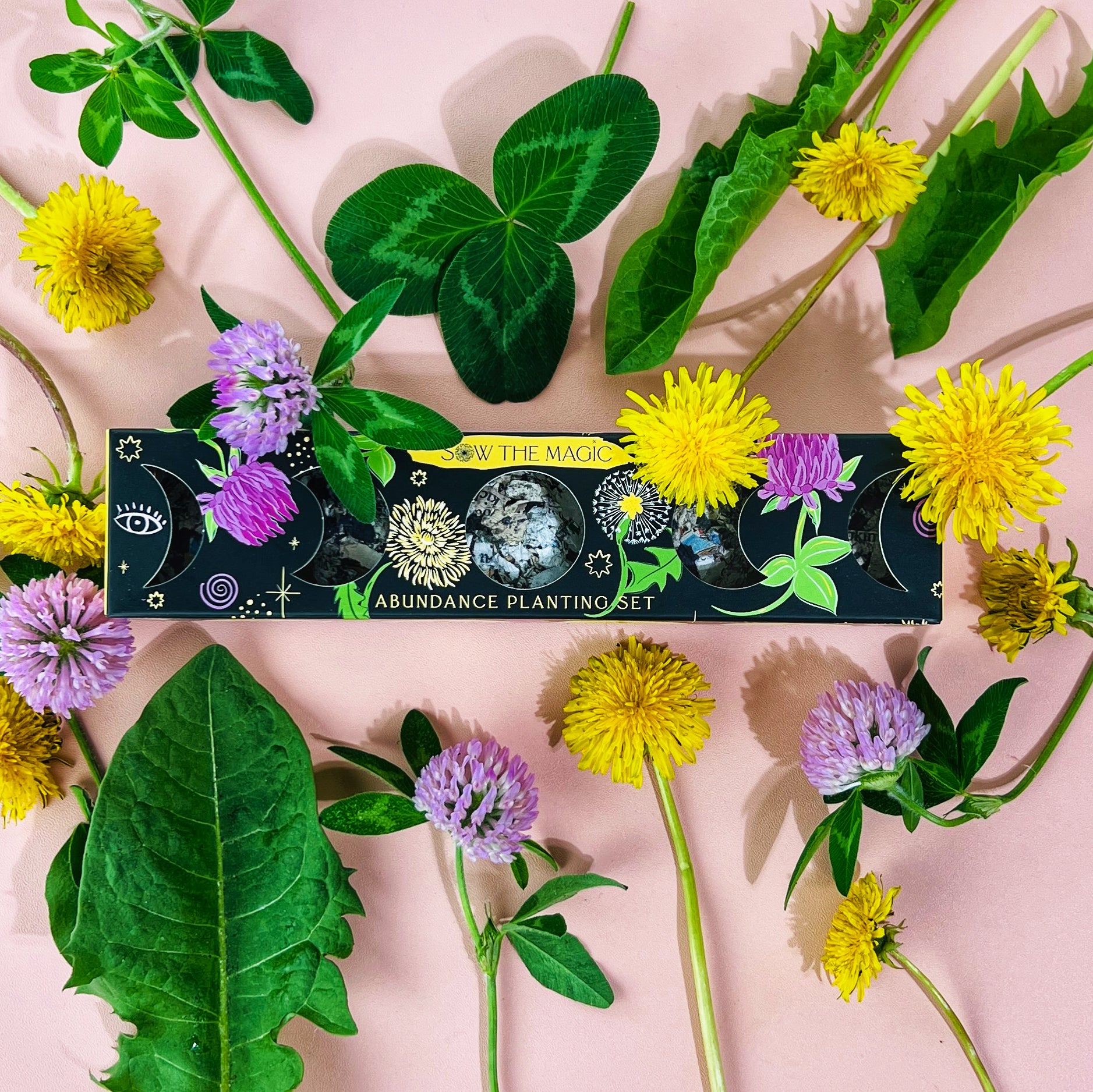 Abundance Seed Ball Planting Set styled with dandelions, red clover and fresh green leaves