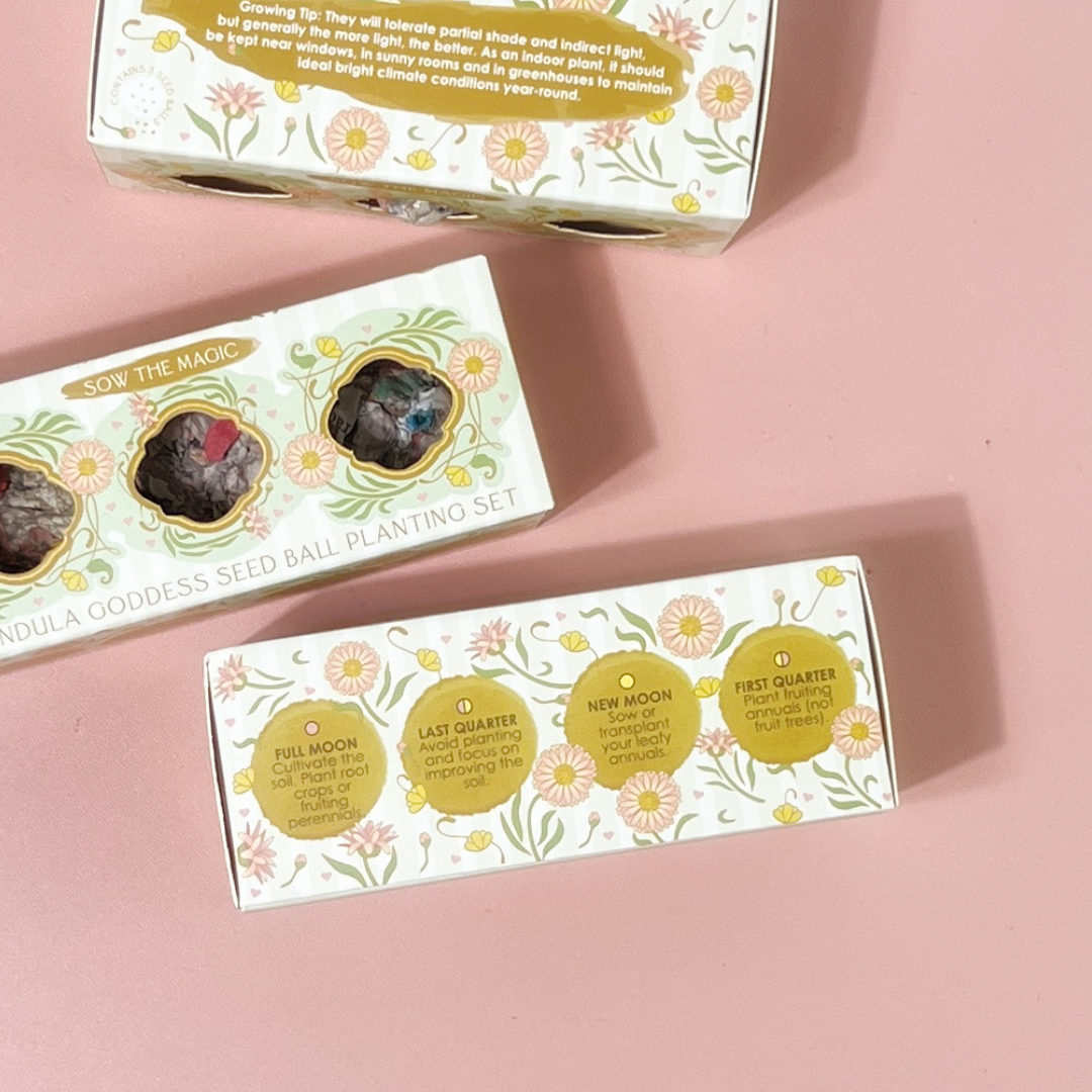 Calendula Goddess Mini Seed Ball Gift Box Set displayed on a pink background with handmade seed balls