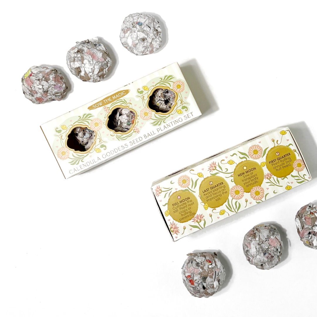 Calendula Goddess Mini Seed Ball Gift Box Set with three handmade calendula seed balls and recycled paper packaging