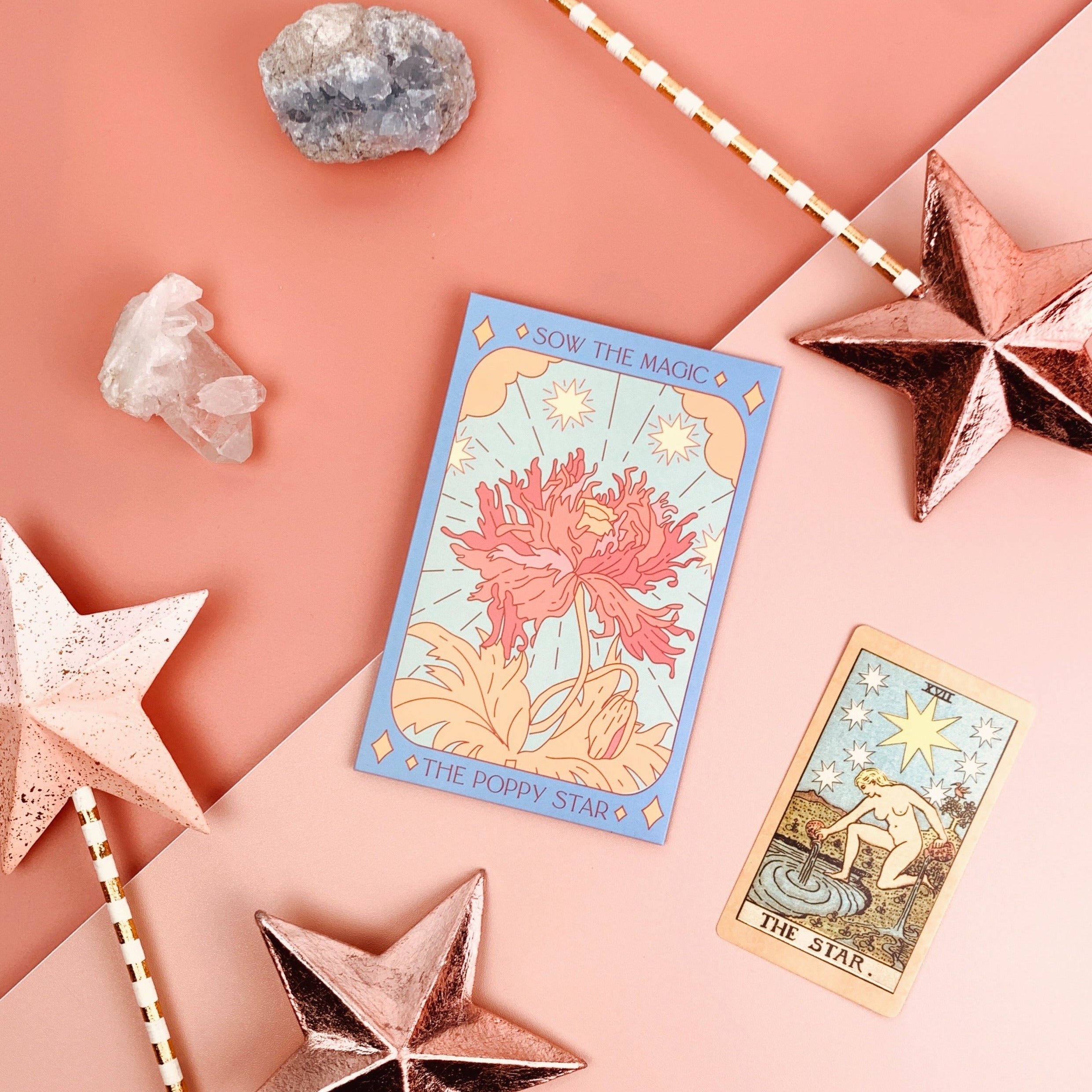 The Poppy Star Tarot Seed Packet - Thumbnail 4