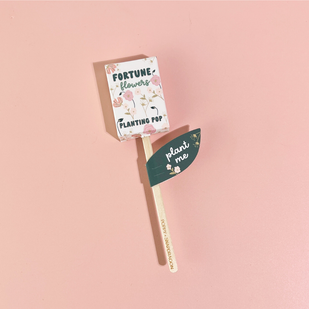 Fortune Flowers seed planting pop with Poppy and Snapdragon seeds on pink background