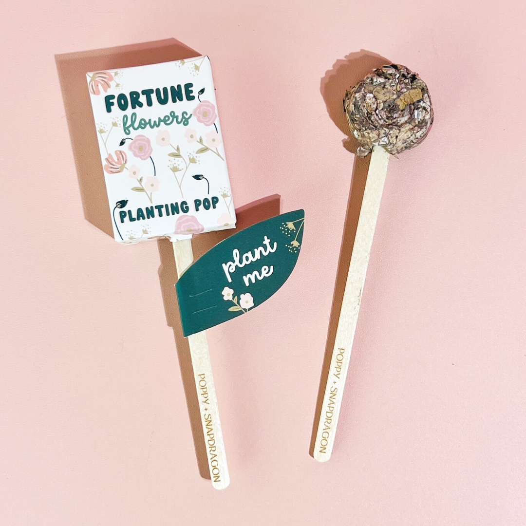 Fortune Flowers seed planting pop with floral design and plant me tag on pink surface