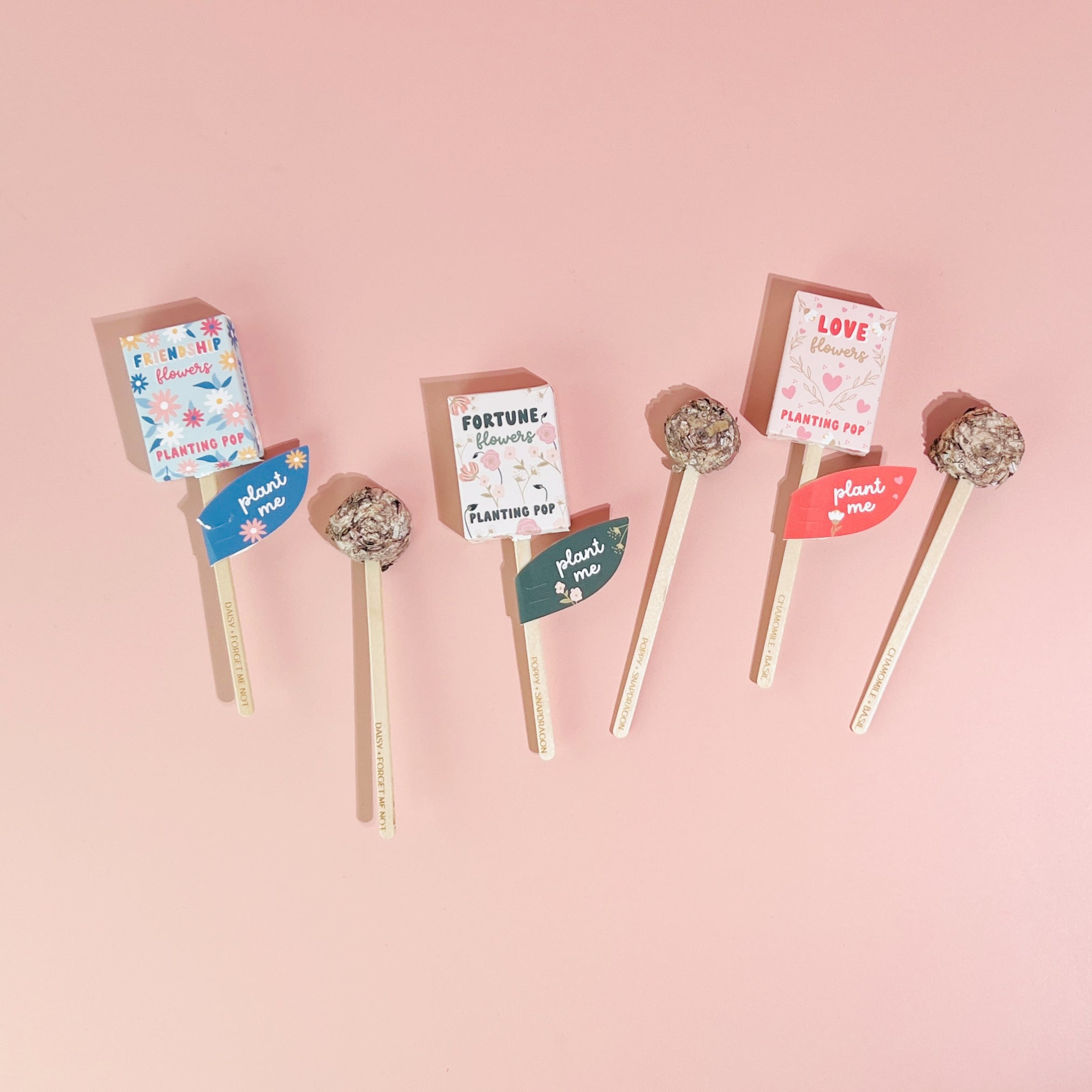 Friendship, Fortune, and Love planting pops with colorful eco-friendly packaging on pink background