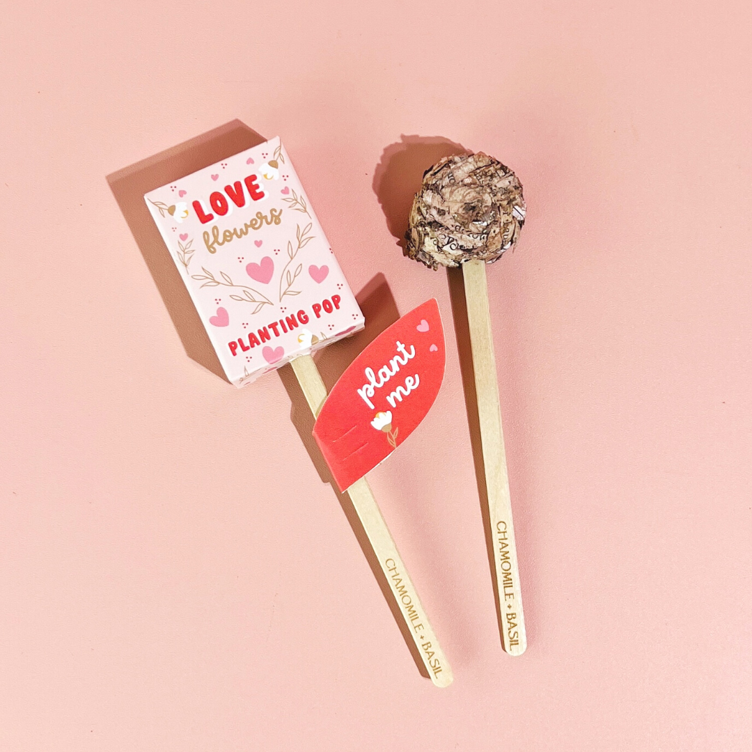 Love Flowers seed planting pop with red plant me tag on pink background