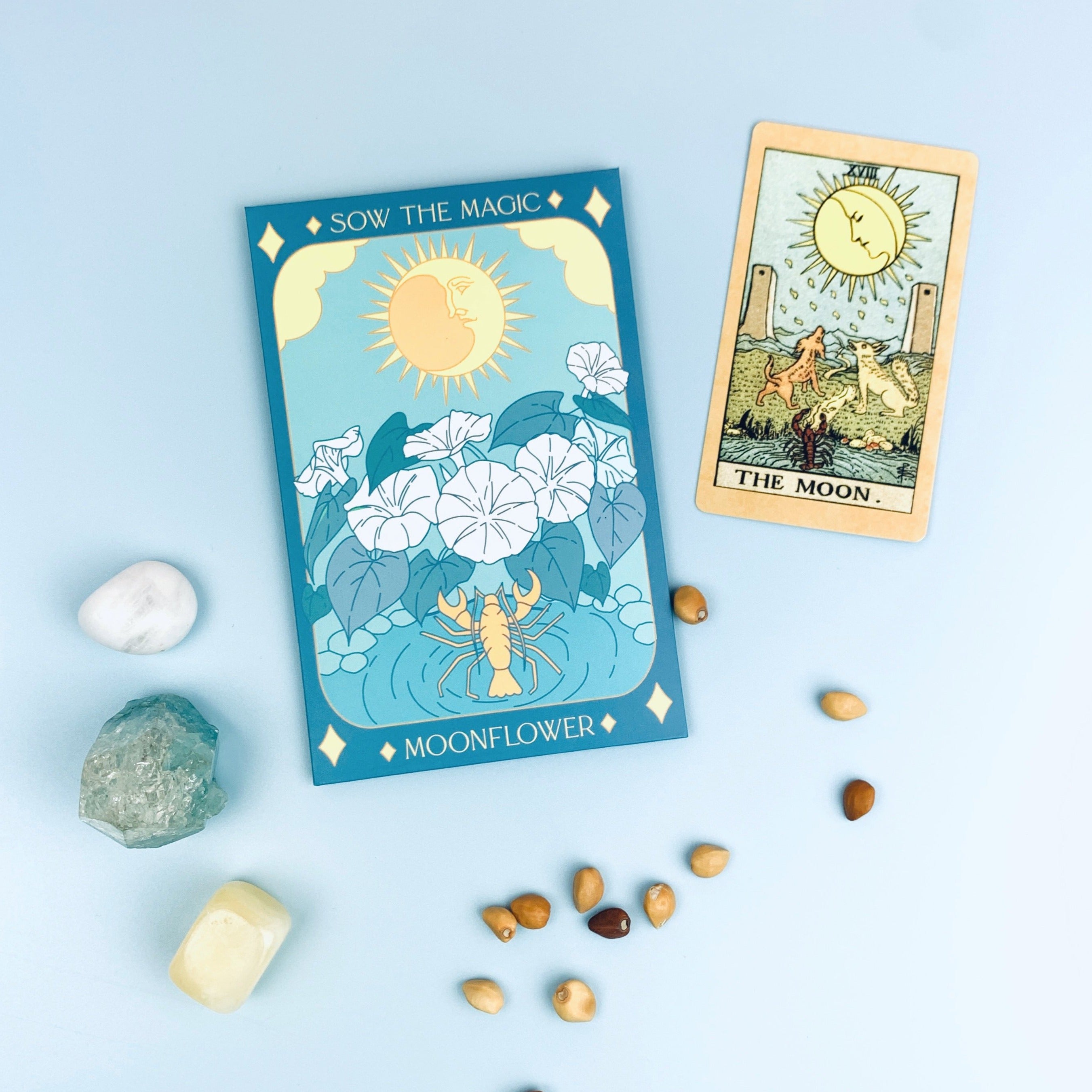 Moonflower tarot seed packet styled with crystals seeds and a tarot card on a soft blue background