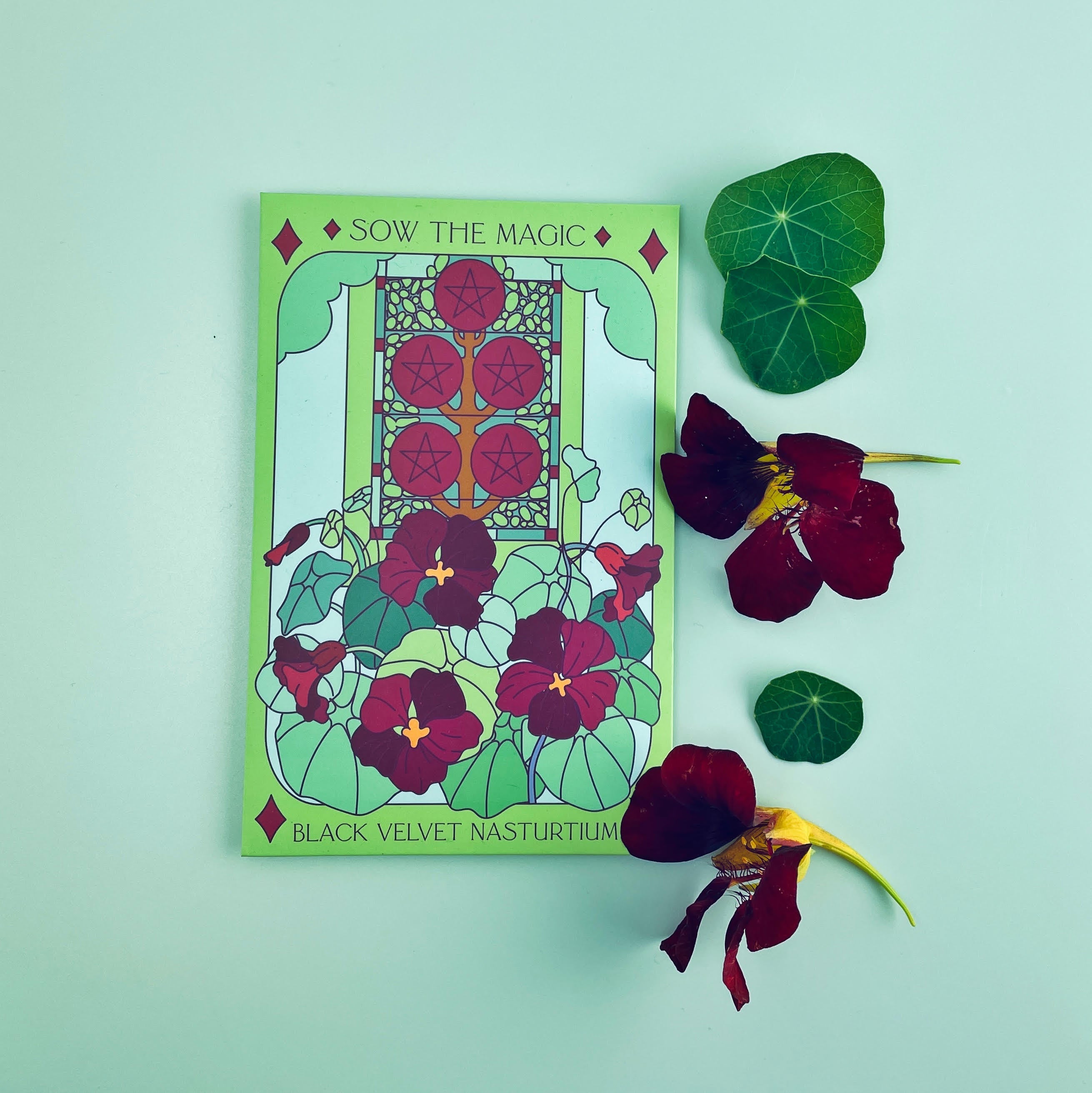 Black Velvet Nasturtium Tarot Seed Packet