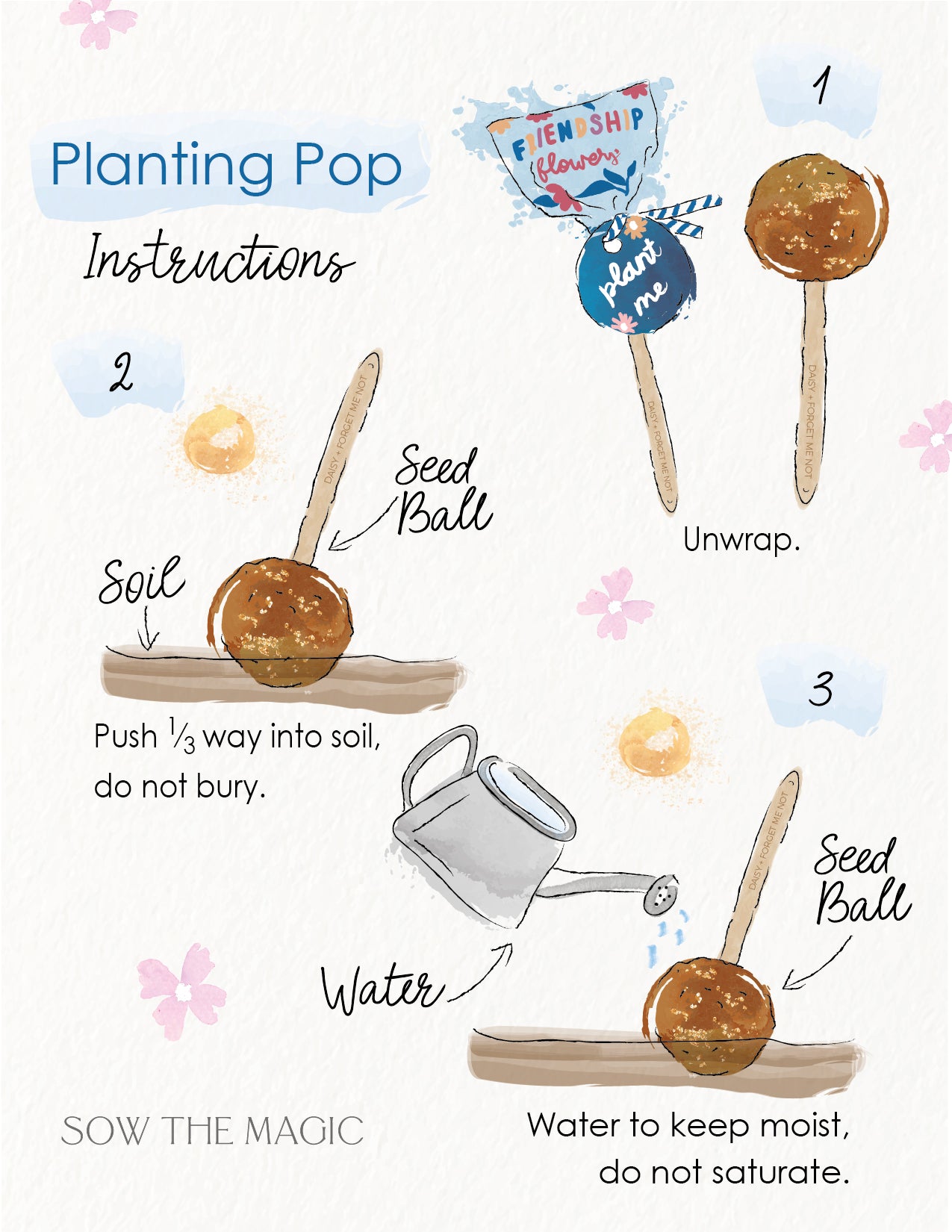 planting a seed instructions Fortune Flowers Garden + Gift Seed Planting Pop